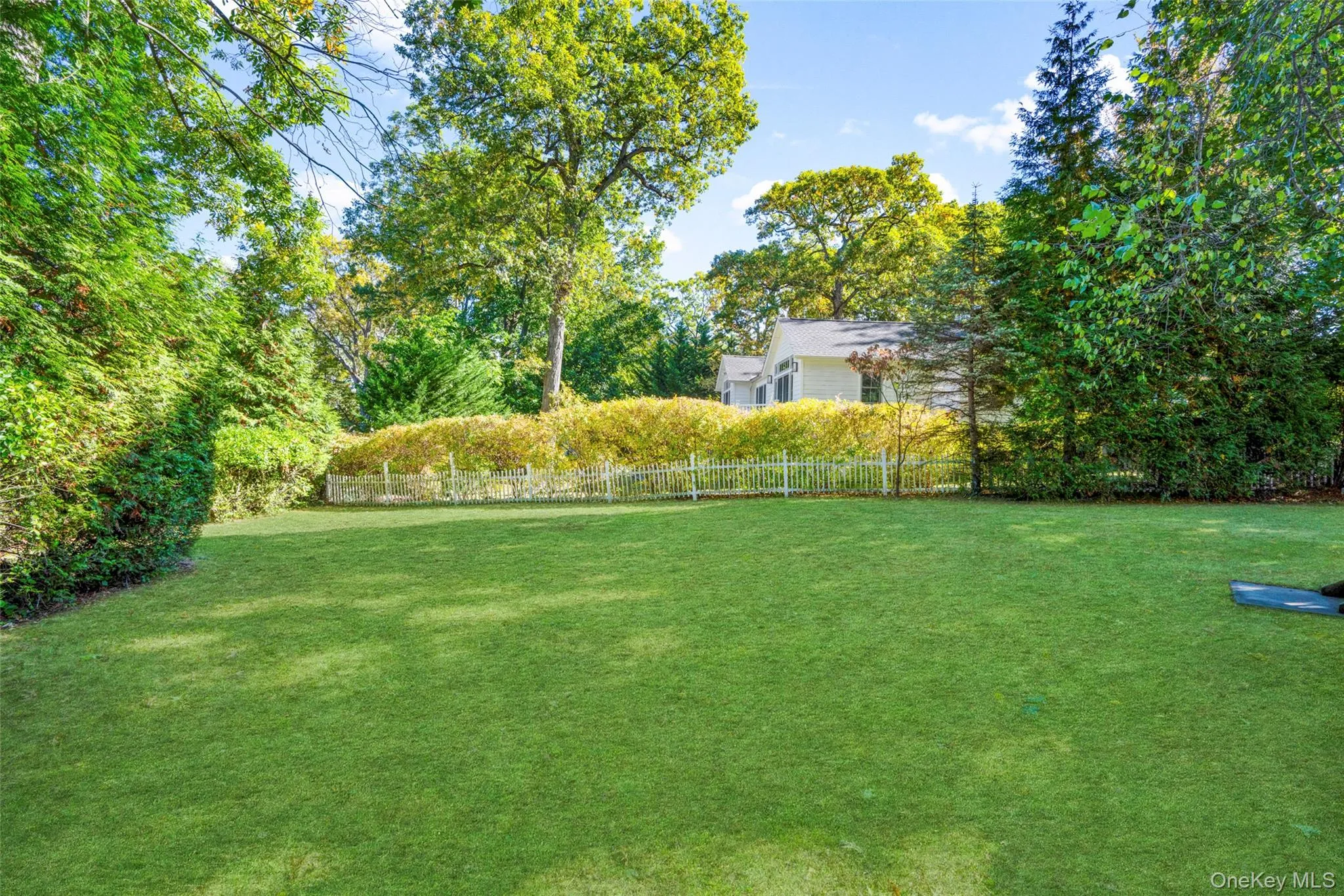 View of yard with view of scattered trees View of yard with view of scattered trees