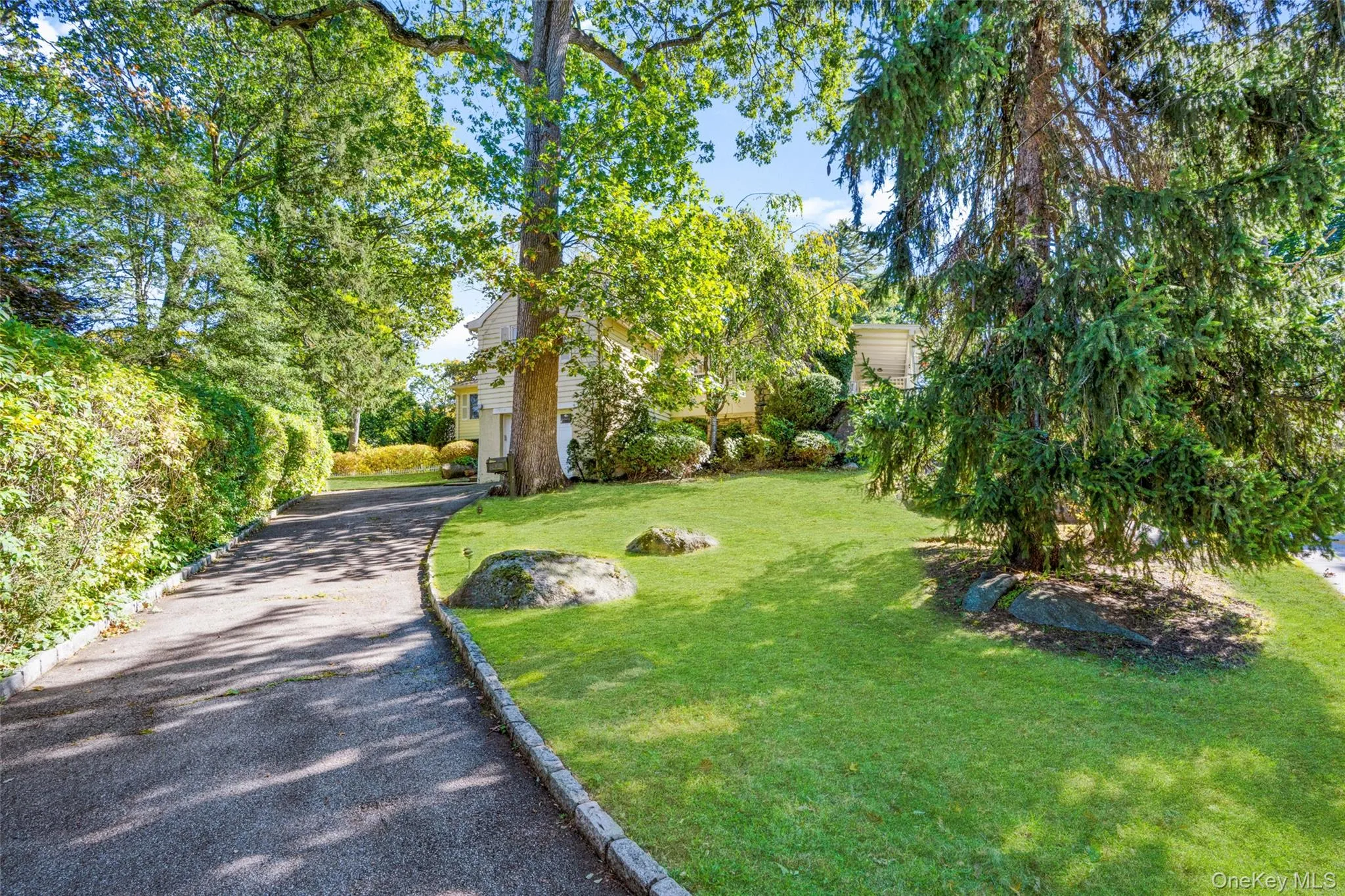 View of grassy yard with asphalt driveway View of grassy yard with asphalt driveway