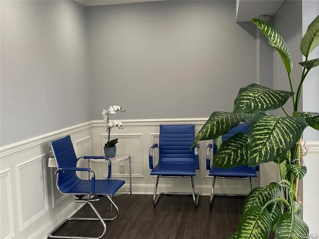 23 Bond Street, North Hempstead, NY, ,Commercial Lease,Idx,Bond Street,0,931467 23 Bond Street, North Hempstead, NY, ,Commercial Lease,Idx,Bond Street,0,931467