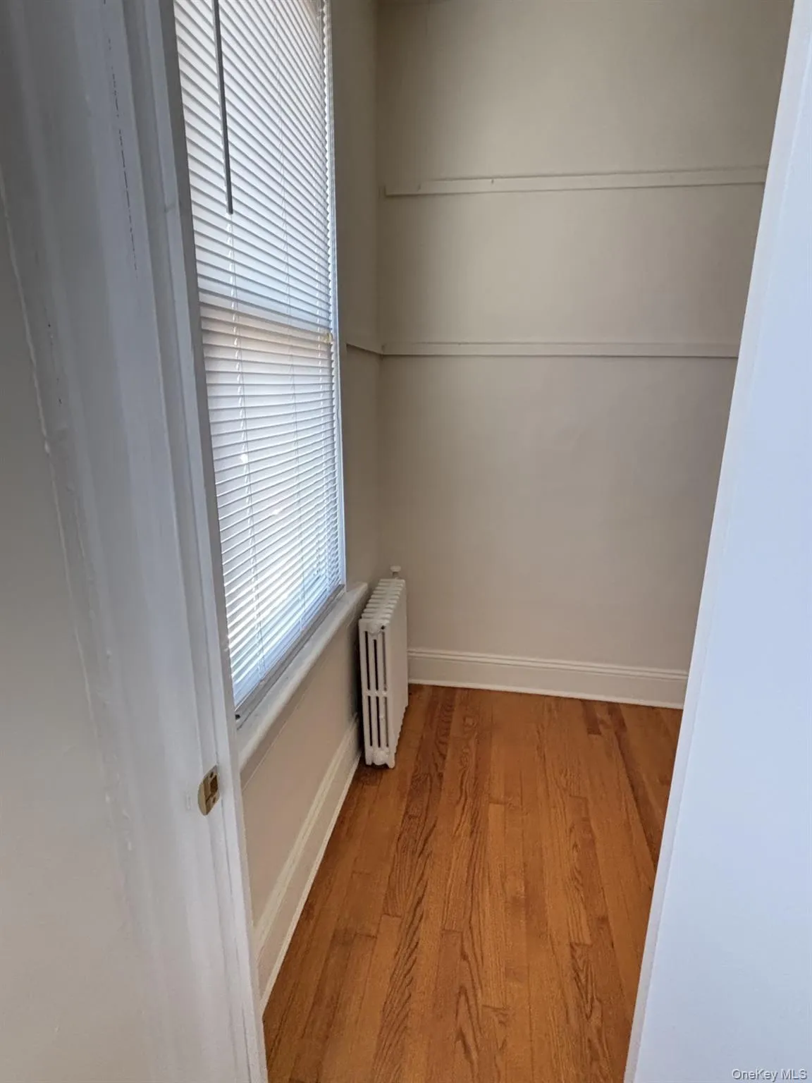 Unfurnished room featuring radiator heating unit, light wood-type flooring, and healthy amount of natural light Unfurnished room featuring radiator heating unit, light wood-type flooring, and healthy amount of natural light