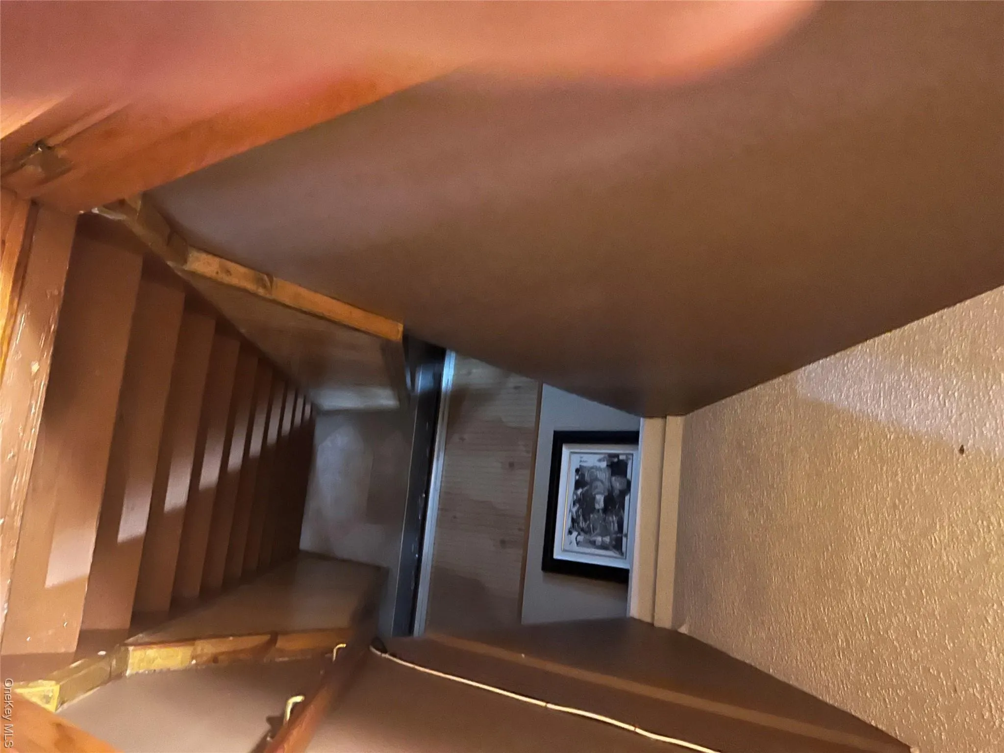 2082 Renfrew Avenue, Hempstead, NY, 4 Bedrooms Bedrooms, 7 Rooms Rooms,2 BathroomsBathrooms,Residential,For Rent,Renfrew,0,931475 2082 Renfrew Avenue, Hempstead, NY, 4 Bedrooms Bedrooms, 7 Rooms Rooms,2 BathroomsBathrooms,Residential,For Rent,Renfrew,0,931475
