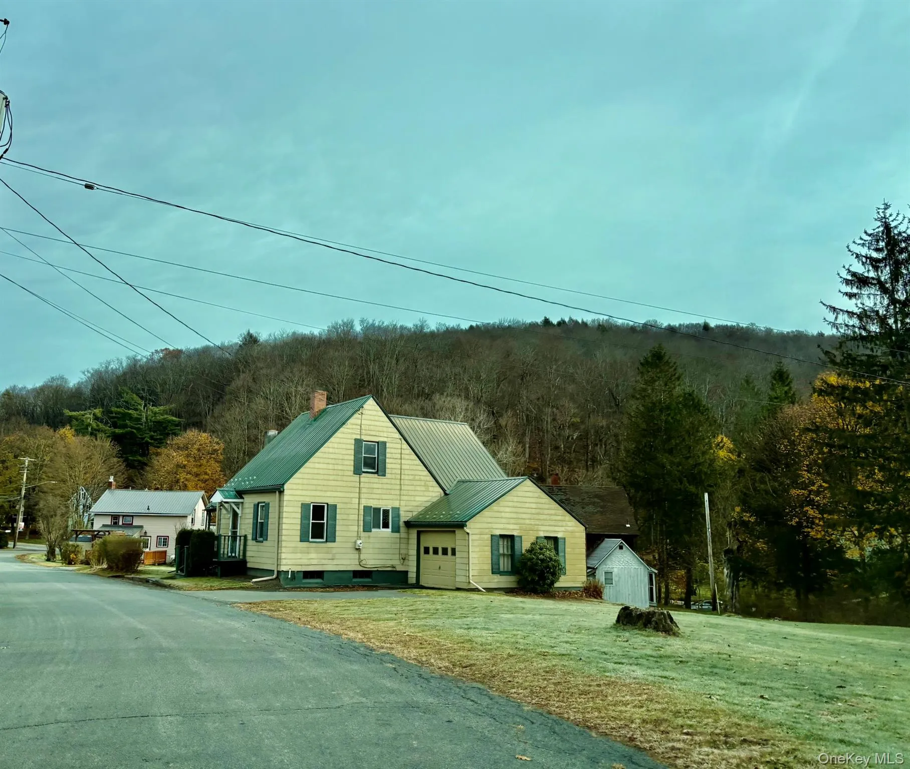 View of front facade with a metal roof, a chimney, a standing seam roof, and a forest view View of front facade with a metal roof, a chimney, a standing seam roof, and a forest view