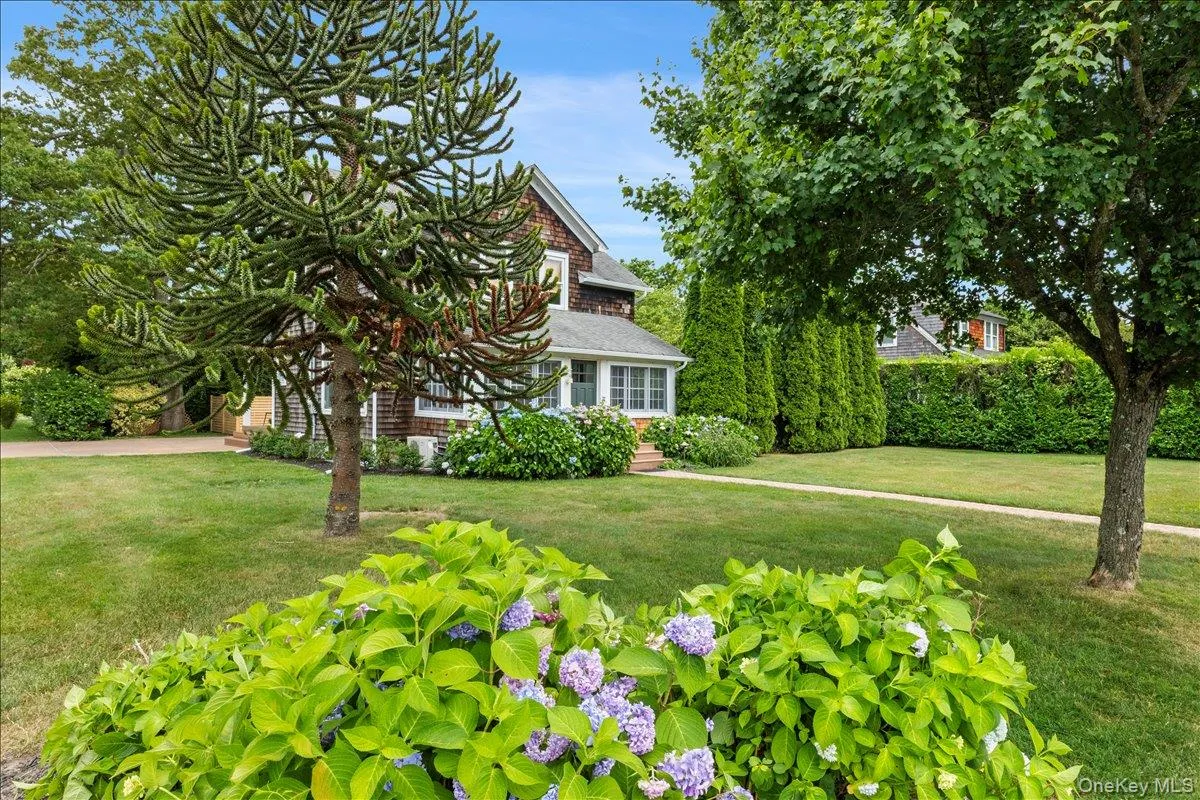 View of grassy yard View of grassy yard
