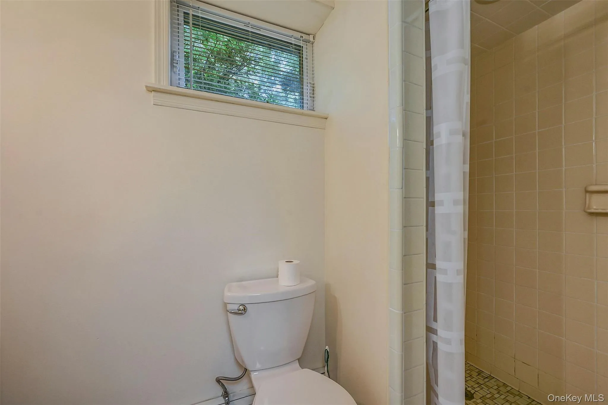 Tiled Stall Shower in Lower Level Bath Tiled Stall Shower in Lower Level Bath