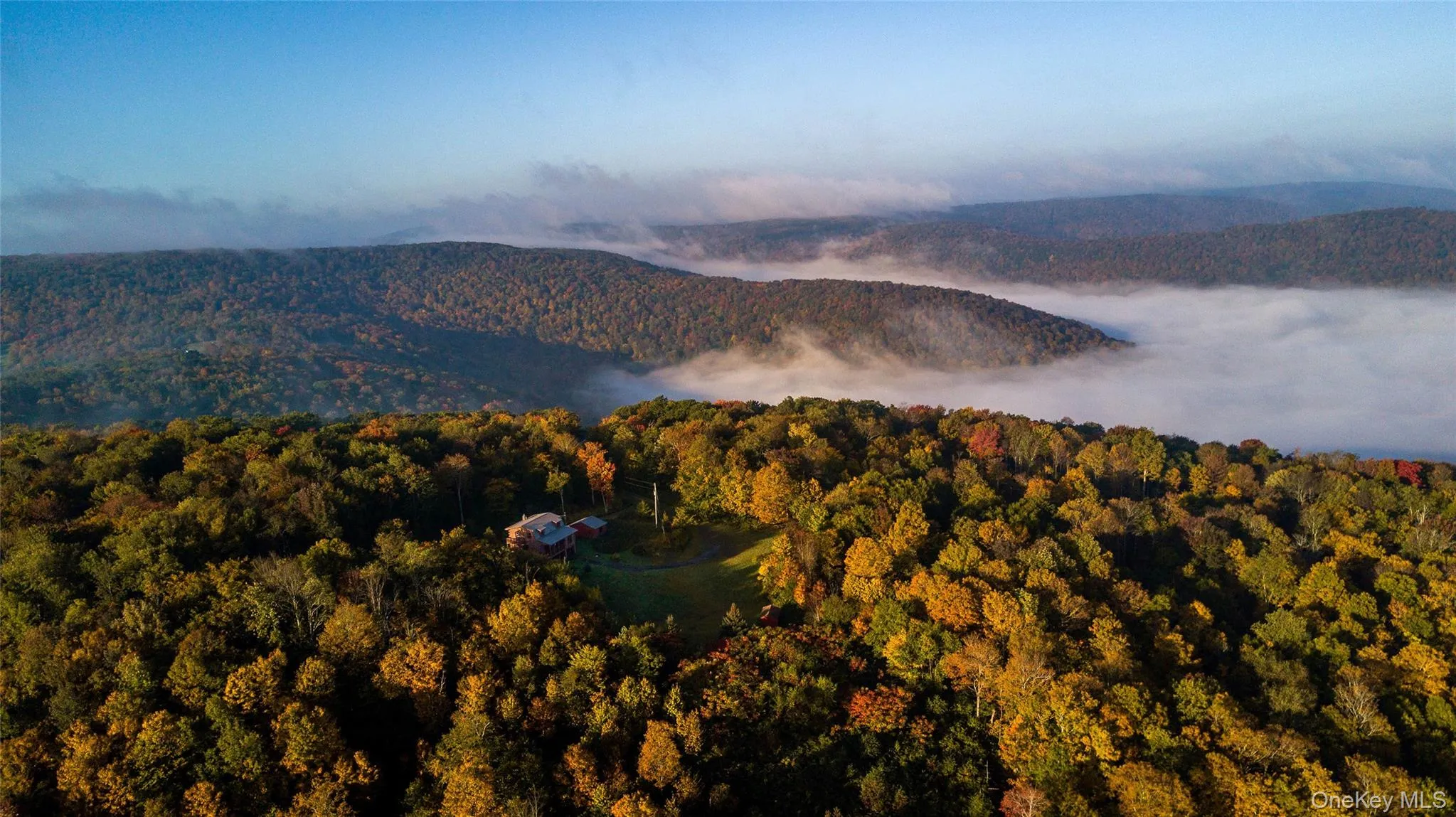 View of mountain backdrop with a heavily wooded area View of mountain backdrop with a heavily wooded area
