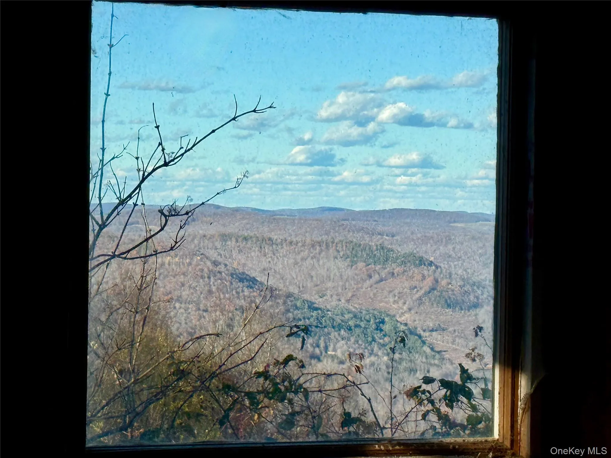 Mountain view with a forest Mountain view with a forest