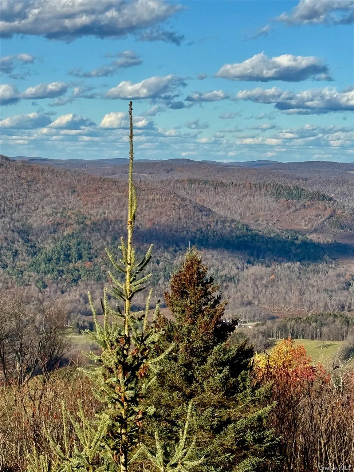 View of mountain backdrop with a forest View of mountain backdrop with a forest