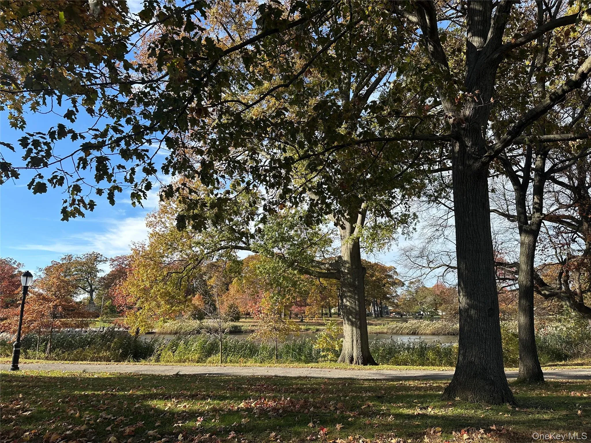 View of community View of community