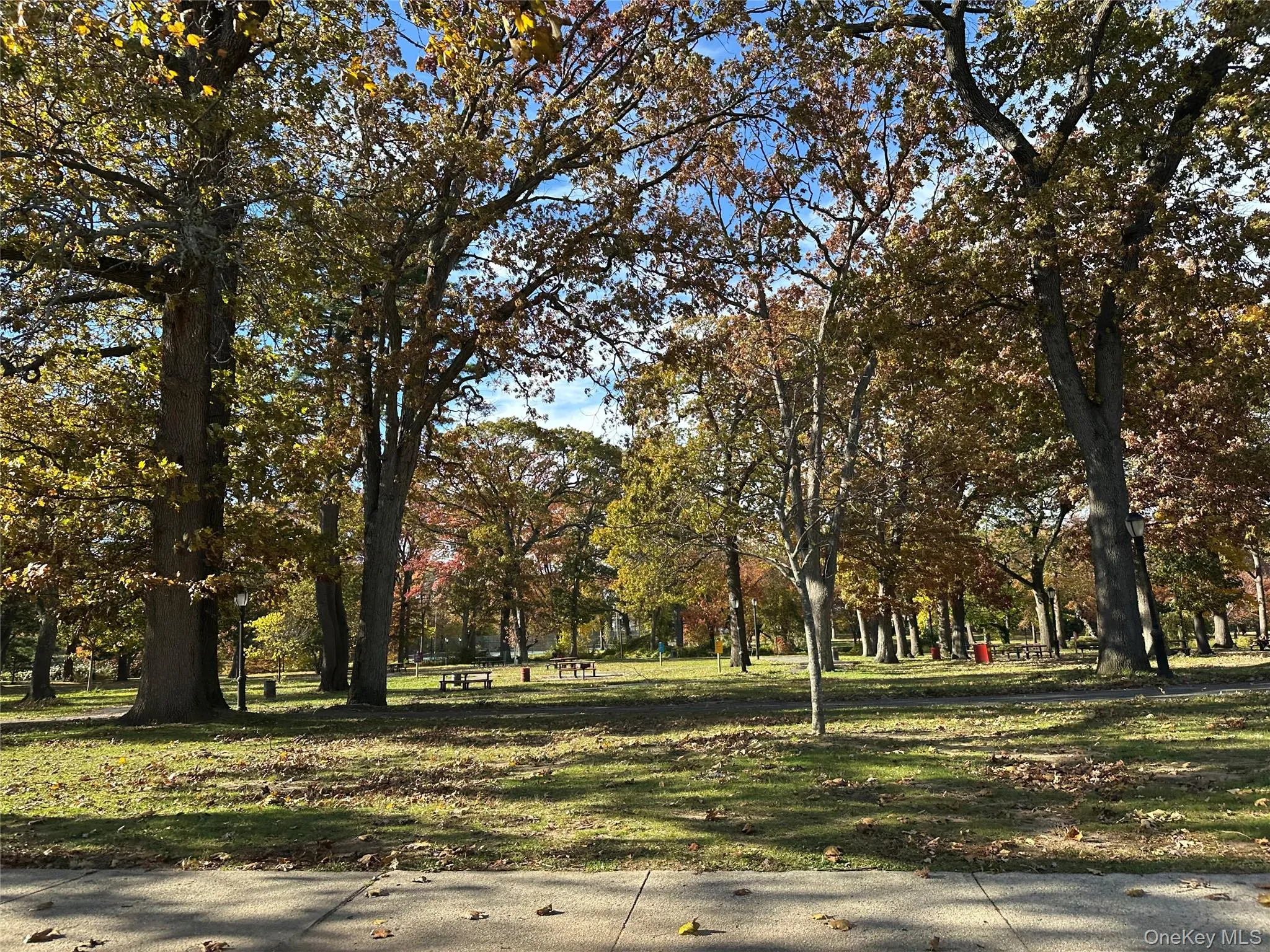 View of property's community featuring view of scattered trees and a lawn View of property's community featuring view of scattered trees and a lawn