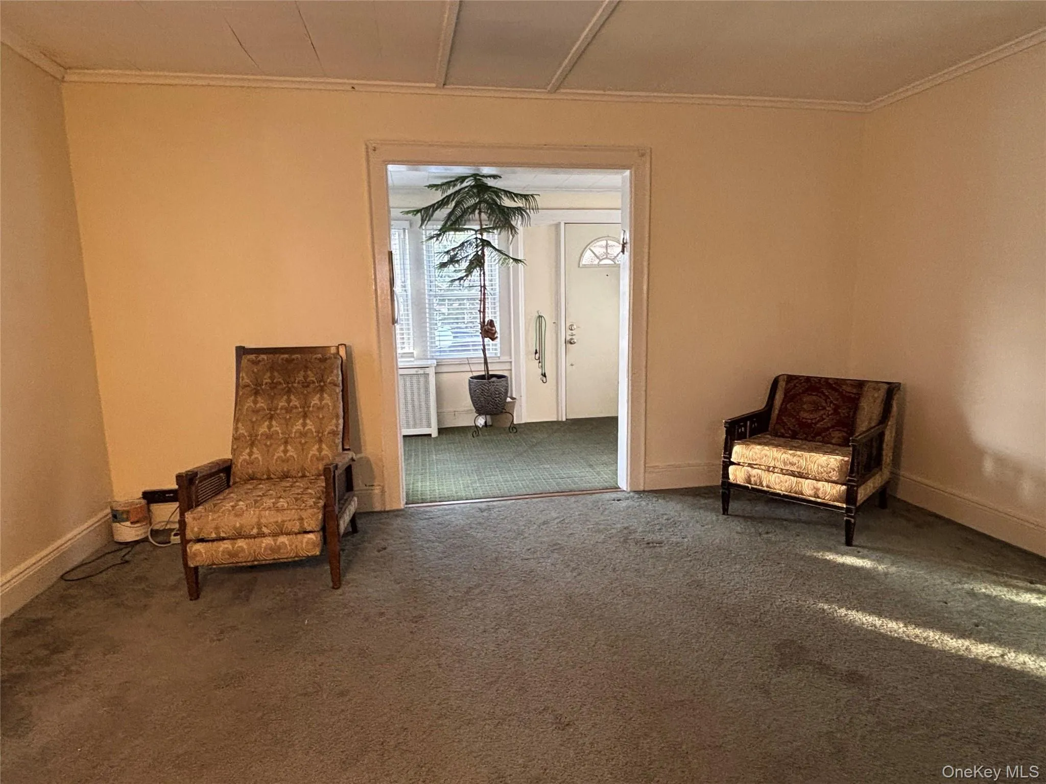 Unfurnished room featuring ornamental molding and carpet flooring Unfurnished room featuring ornamental molding and carpet flooring