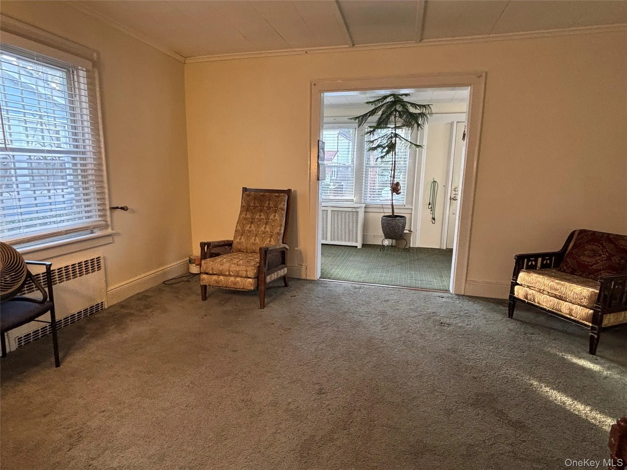 Sitting room with ornamental molding, radiator heating unit, and carpet floors Sitting room with ornamental molding, radiator heating unit, and carpet floors