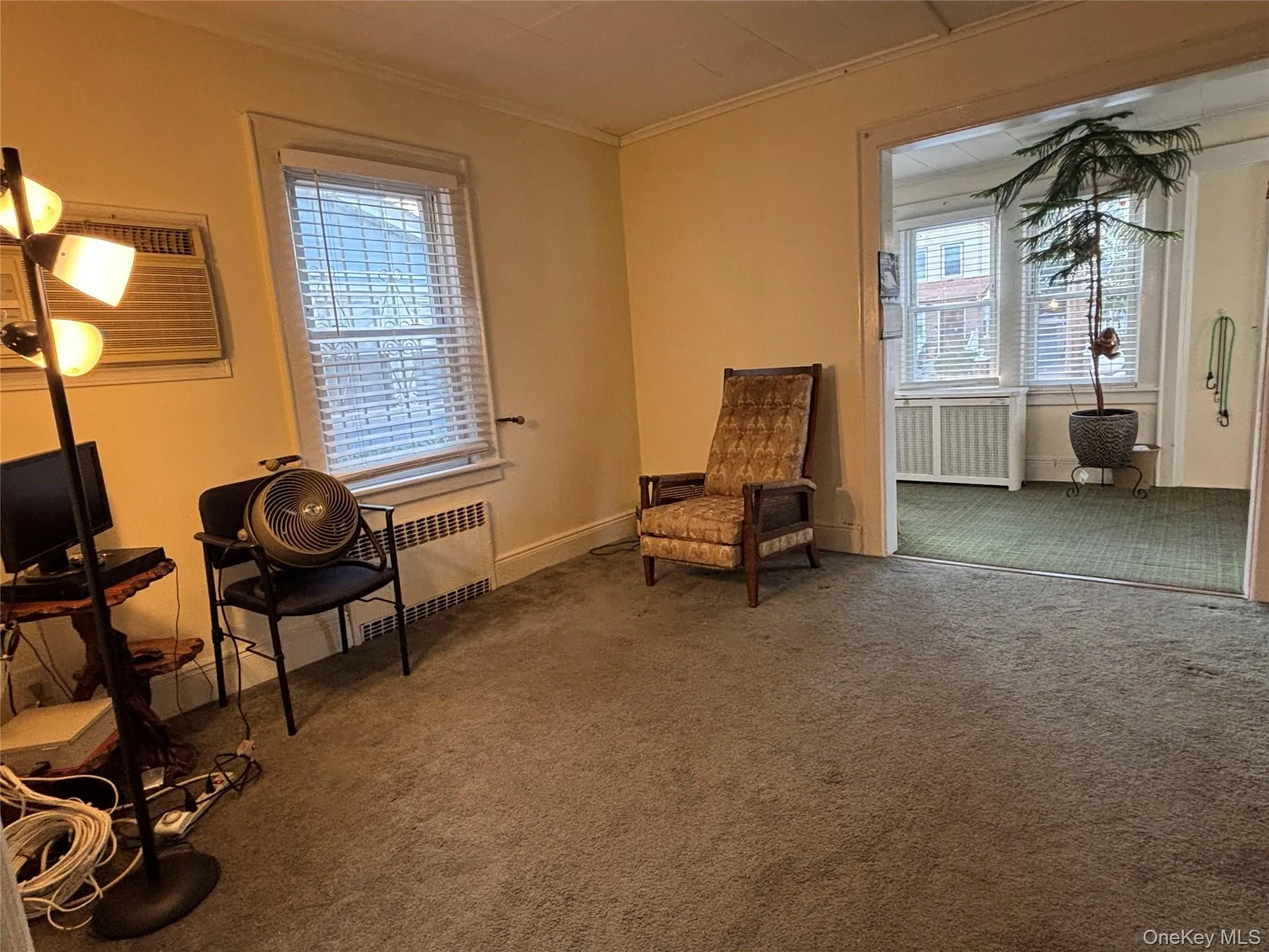 Living area with carpet, radiator, and crown molding Living area with carpet, radiator, and crown molding