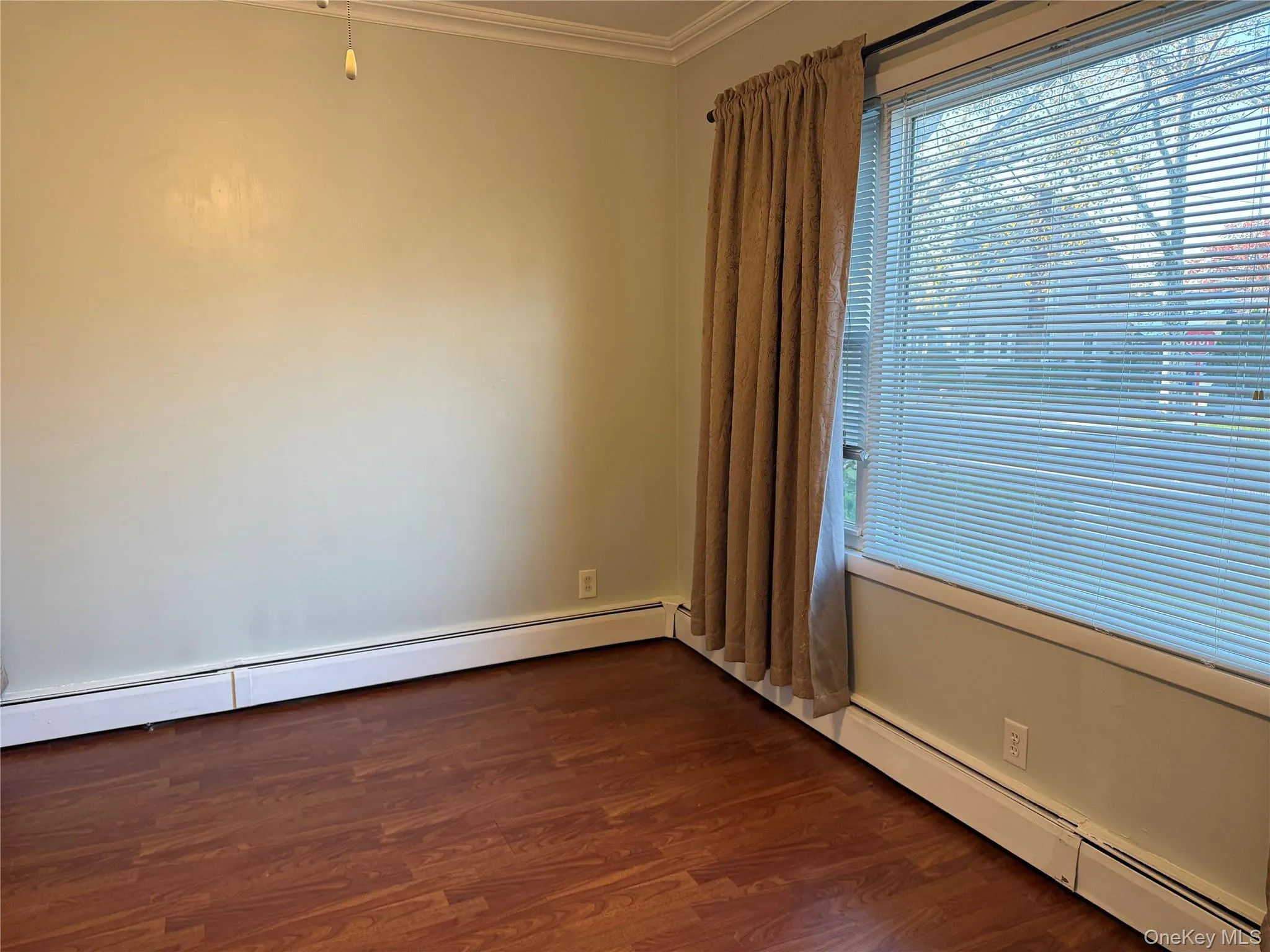 Unfurnished room featuring dark wood-style floors, baseboard heating, and crown molding Unfurnished room featuring dark wood-style floors, baseboard heating, and crown molding