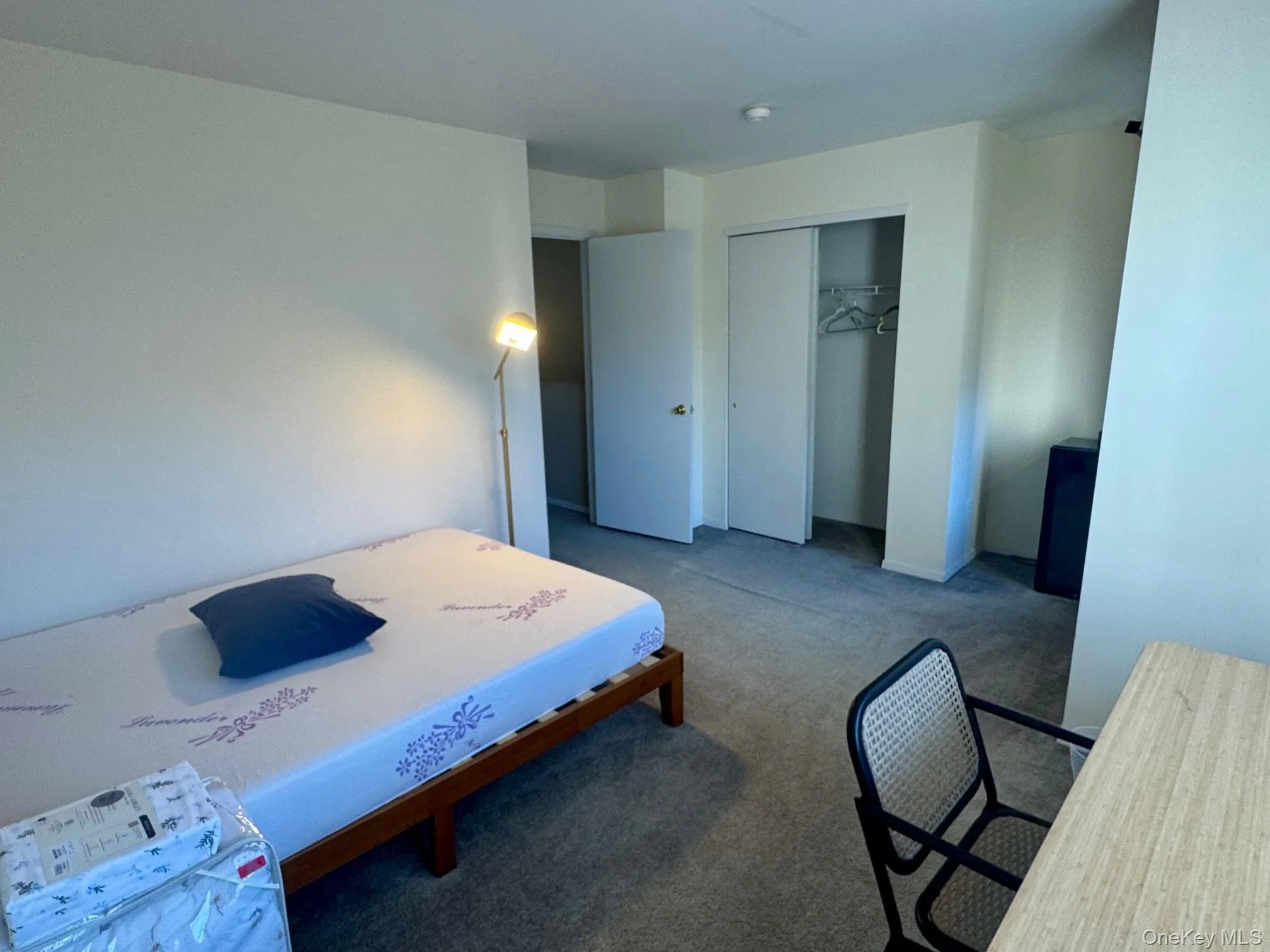 Bedroom featuring carpet floors and a closet Bedroom featuring carpet floors and a closet