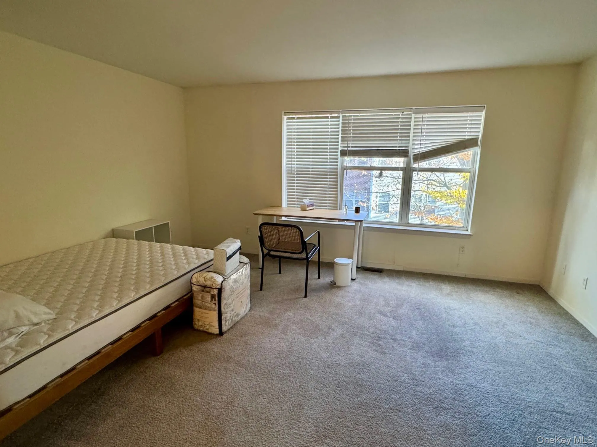 Carpeted bedroom featuring baseboards Carpeted bedroom featuring baseboards