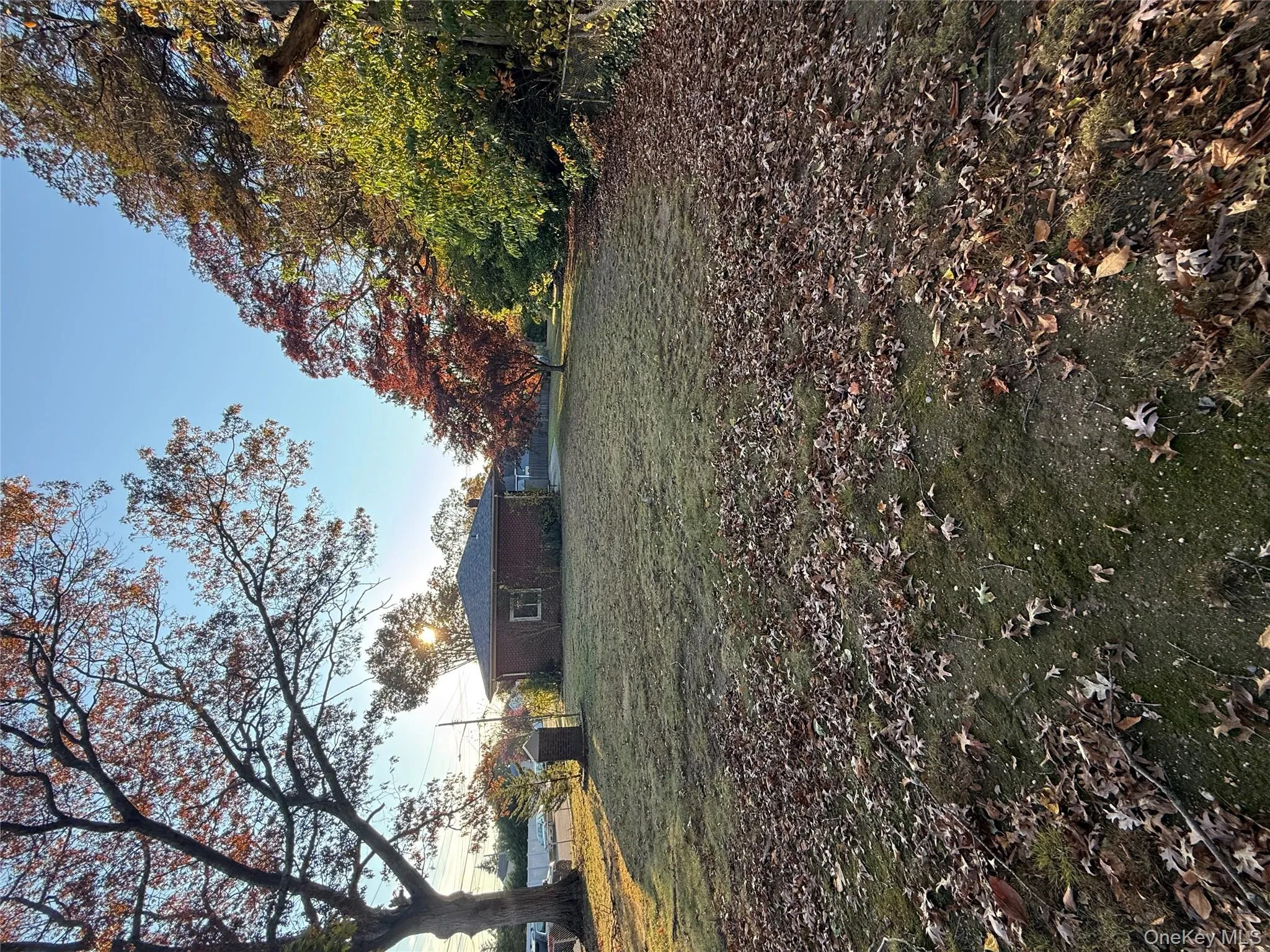 View of green lawn View of green lawn