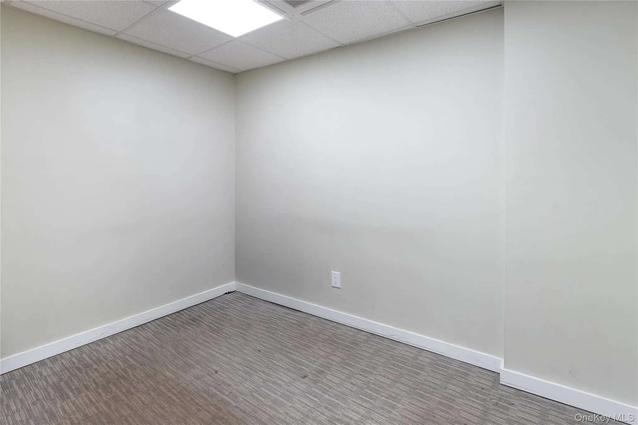 Unfurnished room featuring a drop ceiling and wood finished floors Unfurnished room featuring a drop ceiling and wood finished floors