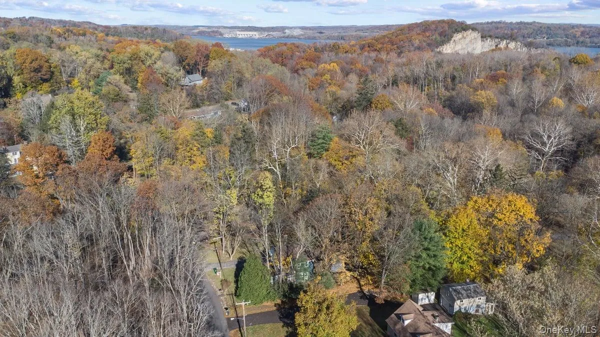 Aerial overview of property's location with a forest Aerial overview of property's location with a forest