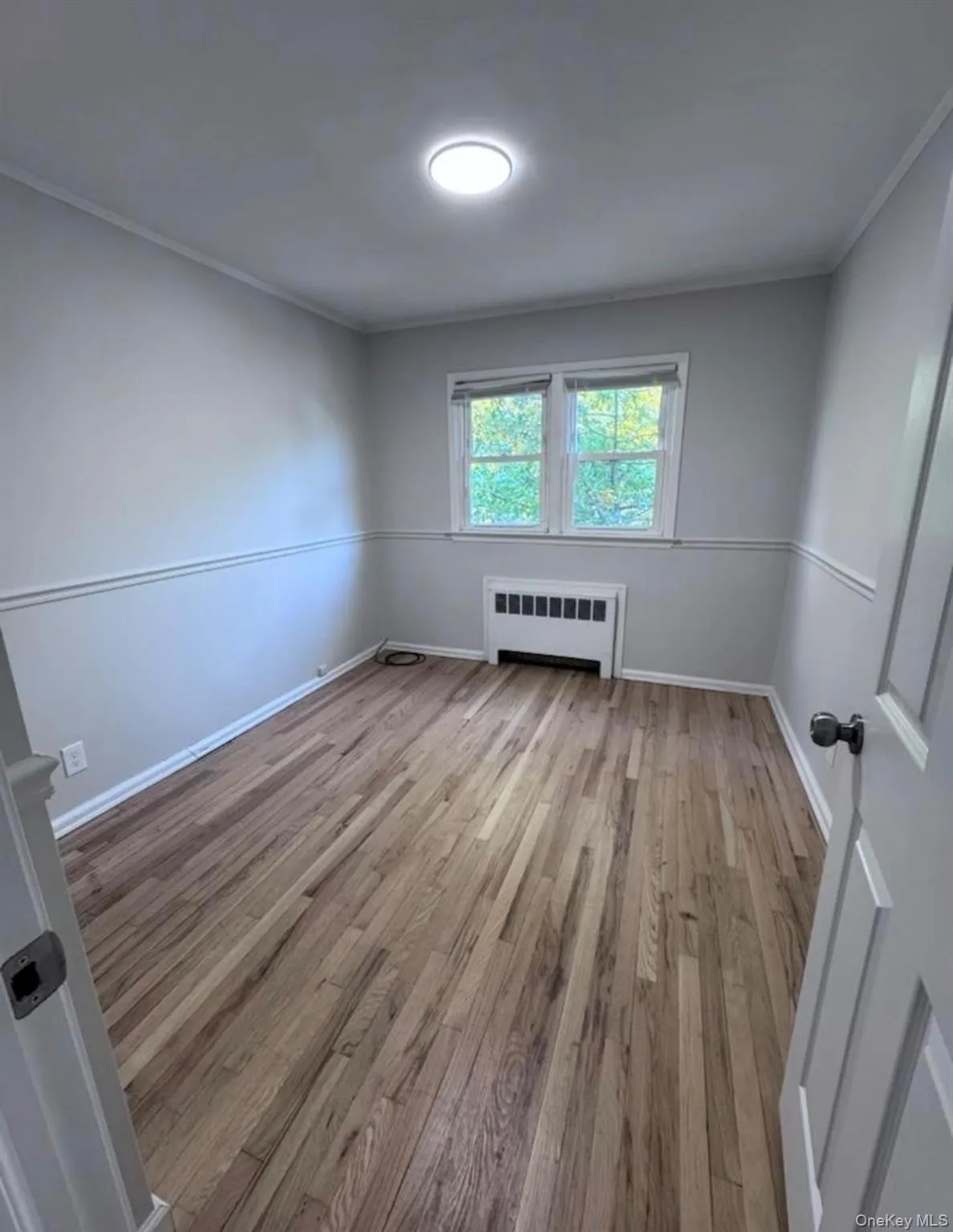 Spare room featuring light wood finished floors, crown molding, and radiator Spare room featuring light wood finished floors, crown molding, and radiator