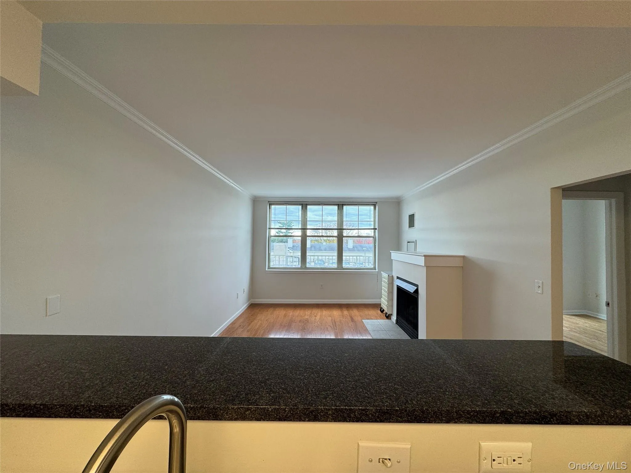 floors, crown molding, a fireplace with flush hearth, and open floor plan floors, crown molding, a fireplace with flush hearth, and open floor plan