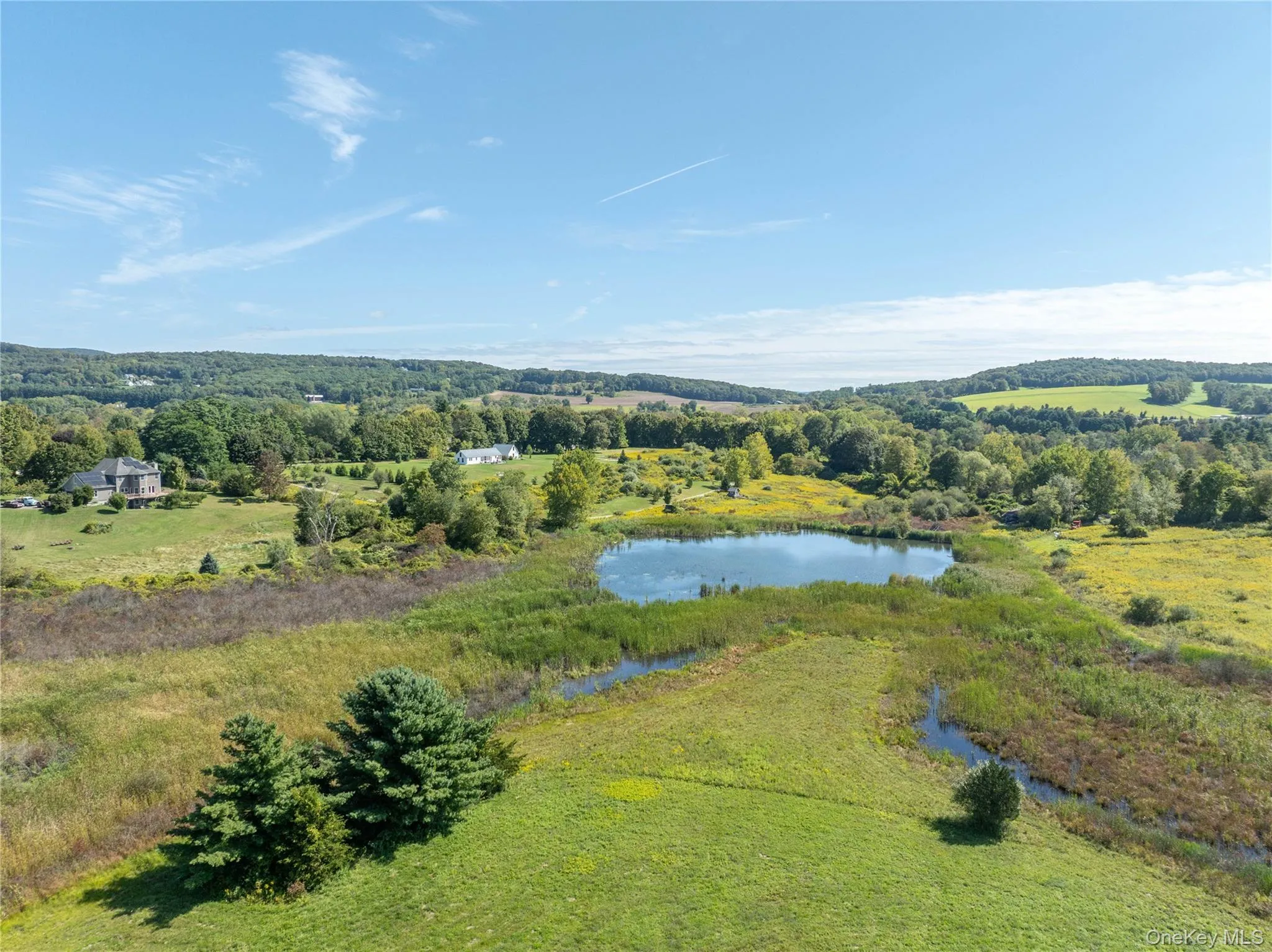 Bird's eye view of a nearby body of water and a forest Bird's eye view of a nearby body of water and a forest