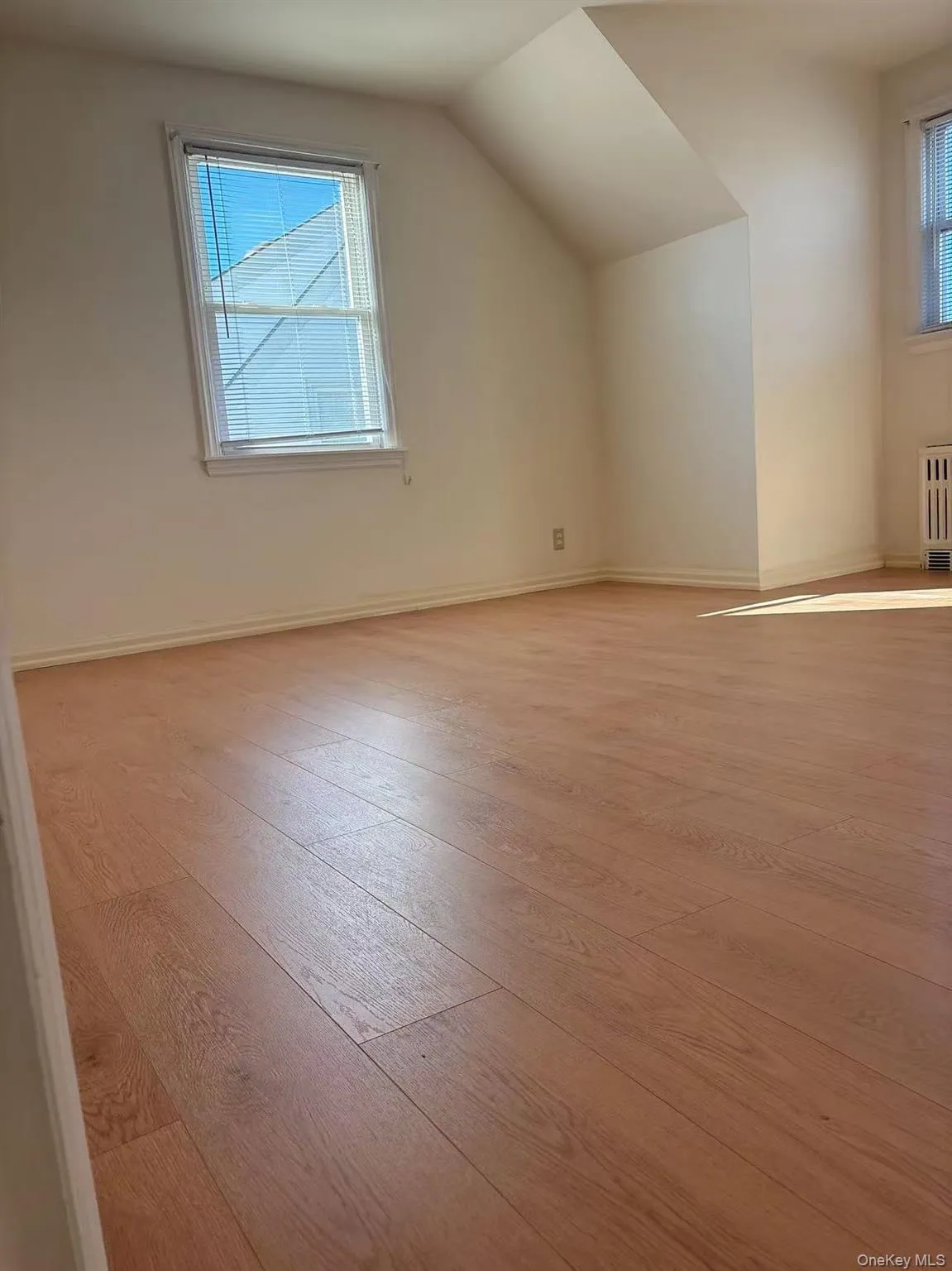 Additional living space featuring light wood-style floors, radiator, lofted ceiling, and healthy amount of natural light Additional living space featuring light wood-style floors, radiator, lofted ceiling, and healthy amount of natural light