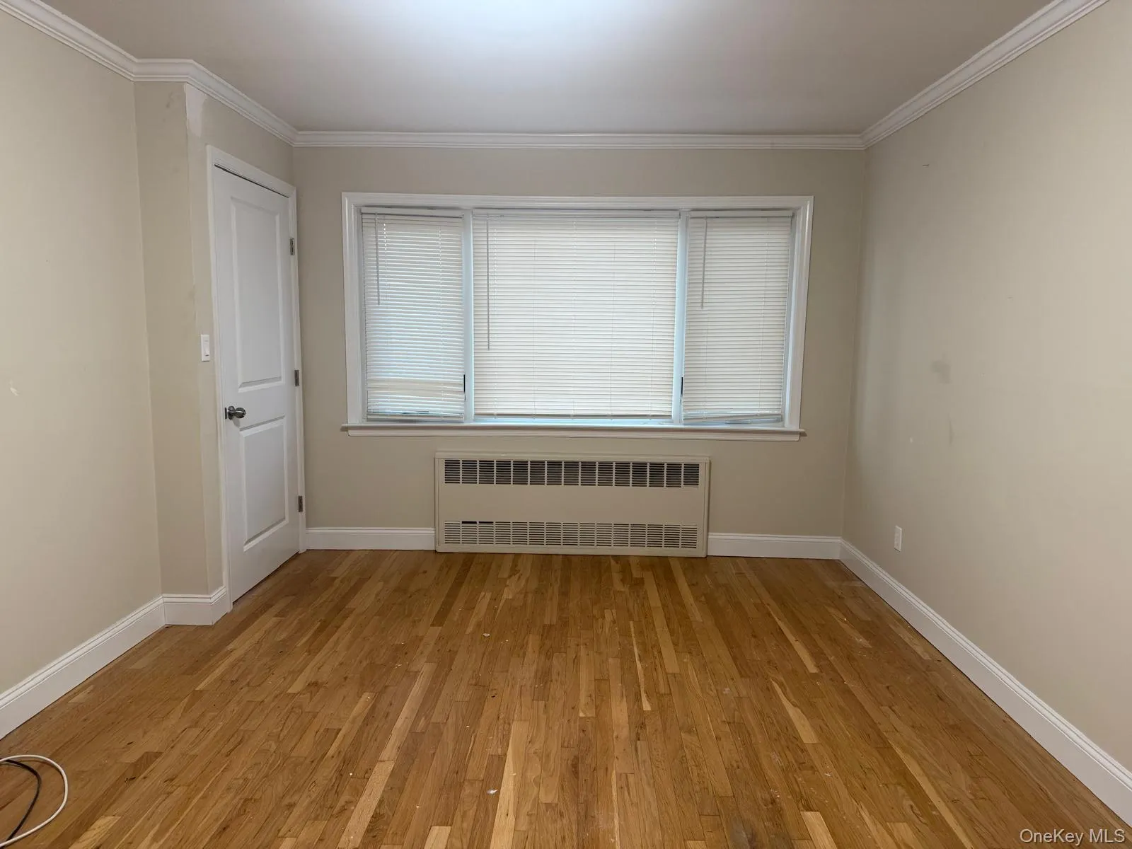 Spare room featuring radiator heating unit, light wood-style floors, and ornamental molding Spare room featuring radiator heating unit, light wood-style floors, and ornamental molding