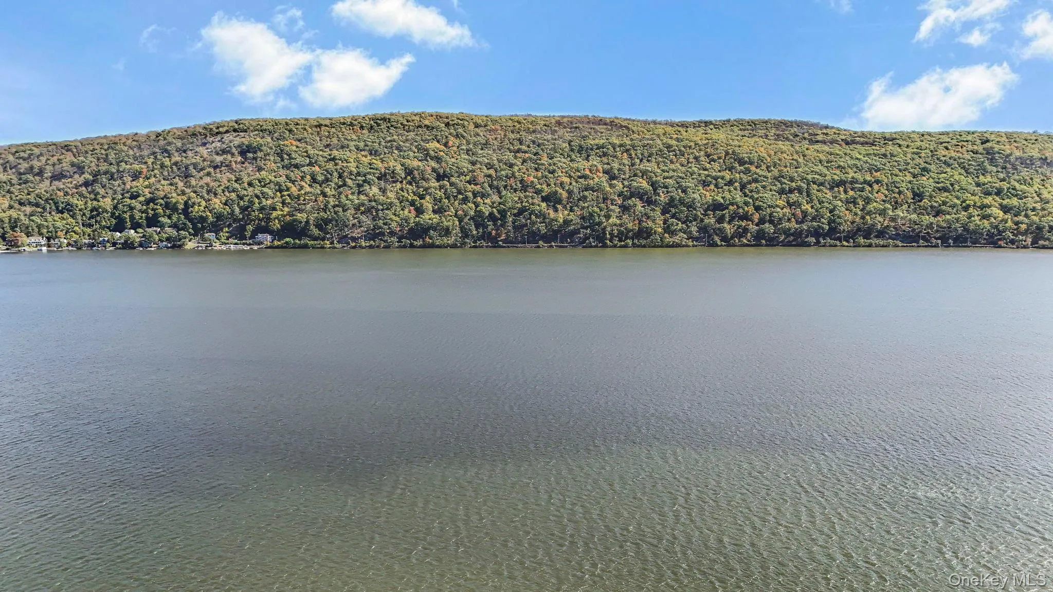 Water view featuring a forest Water view featuring a forest