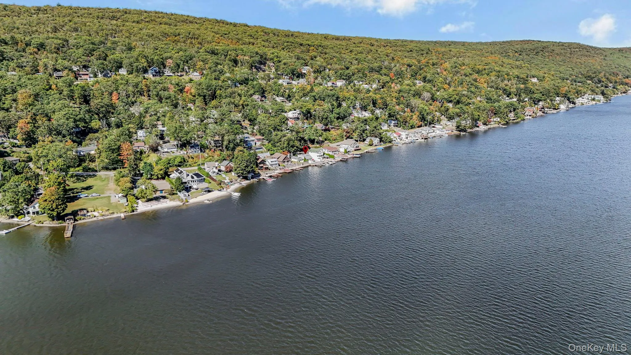 Drone / aerial view of a forest and a large body of water Drone / aerial view of a forest and a large body of water