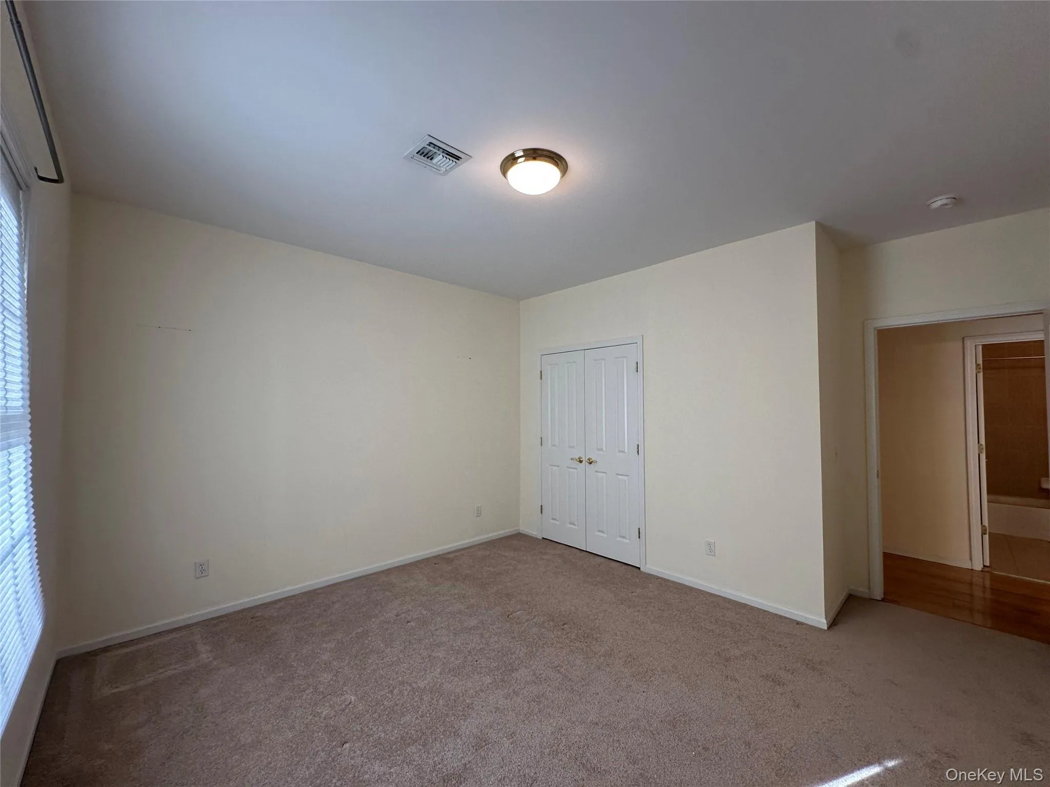 Unfurnished bedroom with carpet and a closet Unfurnished bedroom with carpet and a closet