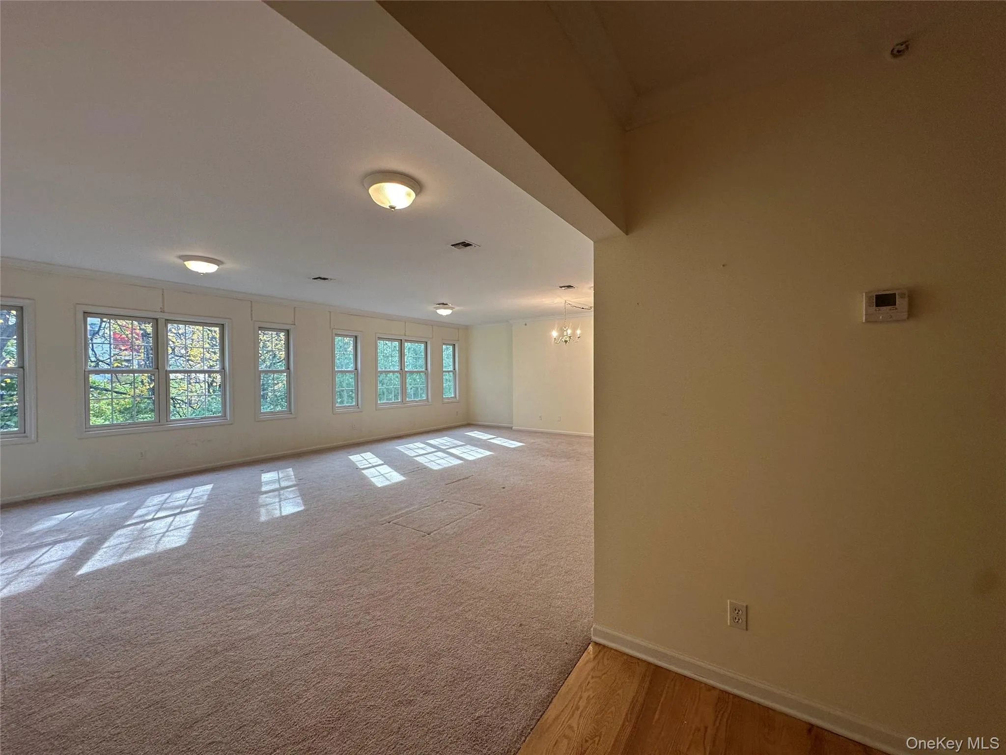 Spare room with ornamental molding, a chandelier, light carpet, and light wood-style floors Spare room with ornamental molding, a chandelier, light carpet, and light wood-style floors