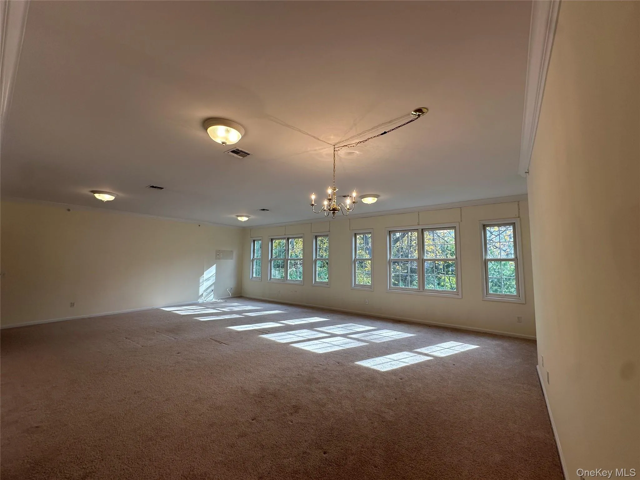 Unfurnished room featuring crown molding, a chandelier, and carpet floors Unfurnished room featuring crown molding, a chandelier, and carpet floors