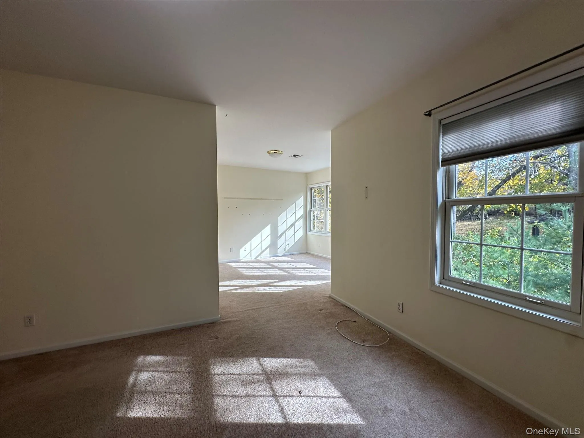 Carpeted empty room with plenty of natural light Carpeted empty room with plenty of natural light