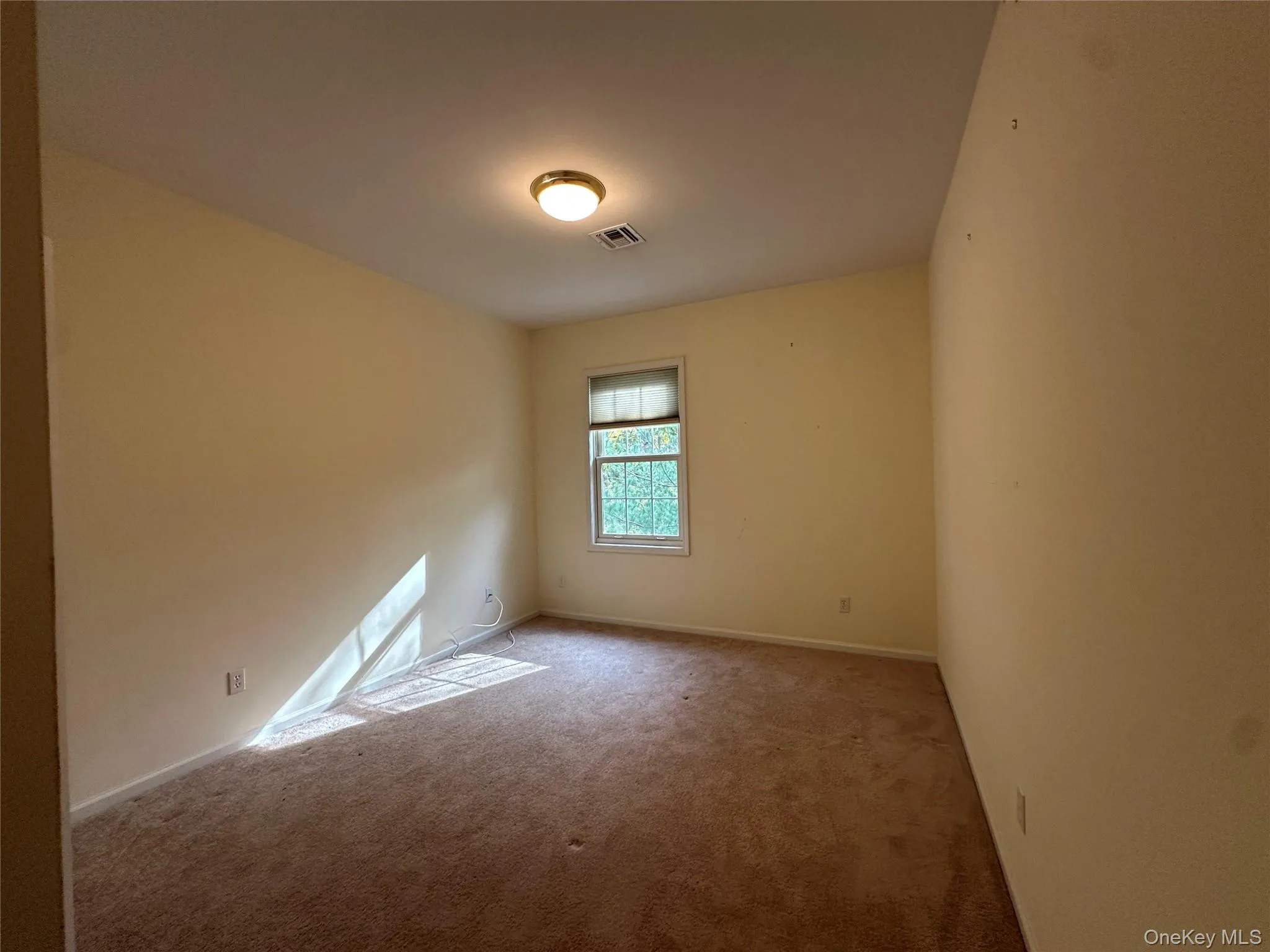Unfurnished room with carpet and baseboards Unfurnished room with carpet and baseboards