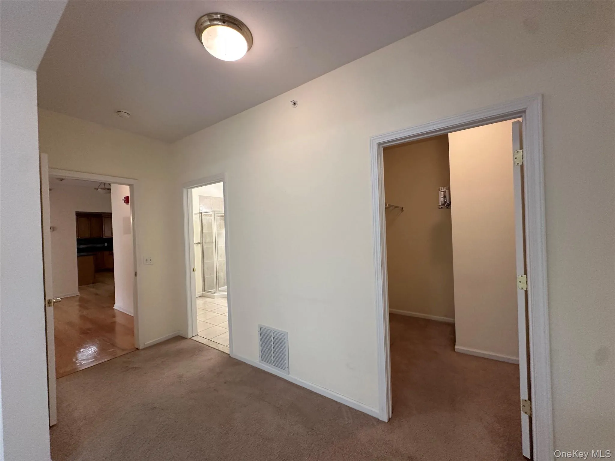 Unfurnished bedroom featuring carpet flooring and a spacious closet Unfurnished bedroom featuring carpet flooring and a spacious closet