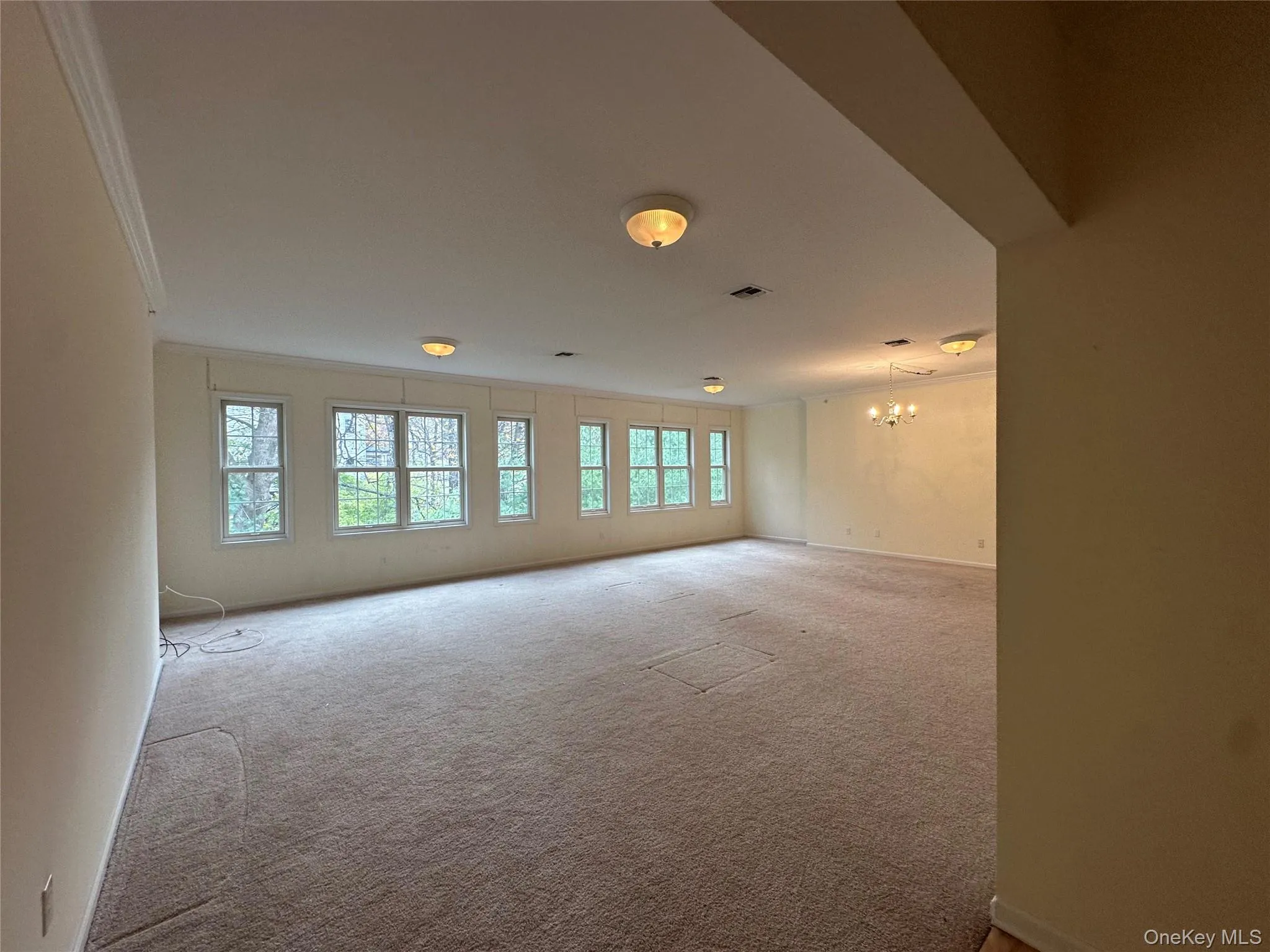 Carpeted spare room featuring a chandelier and ornamental molding Carpeted spare room featuring a chandelier and ornamental molding