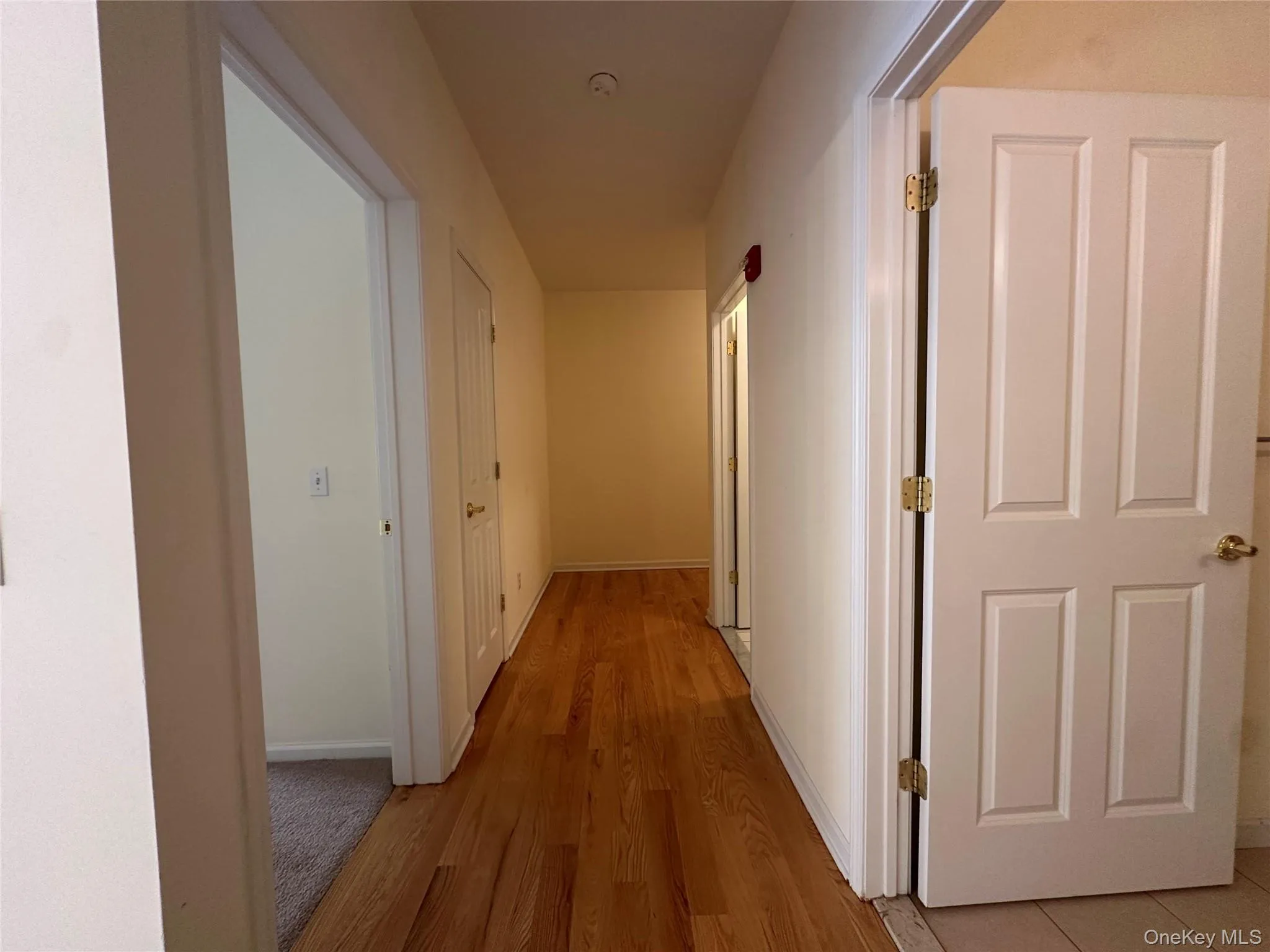 Hallway featuring light wood-type flooring and baseboards Hallway featuring light wood-type flooring and baseboards