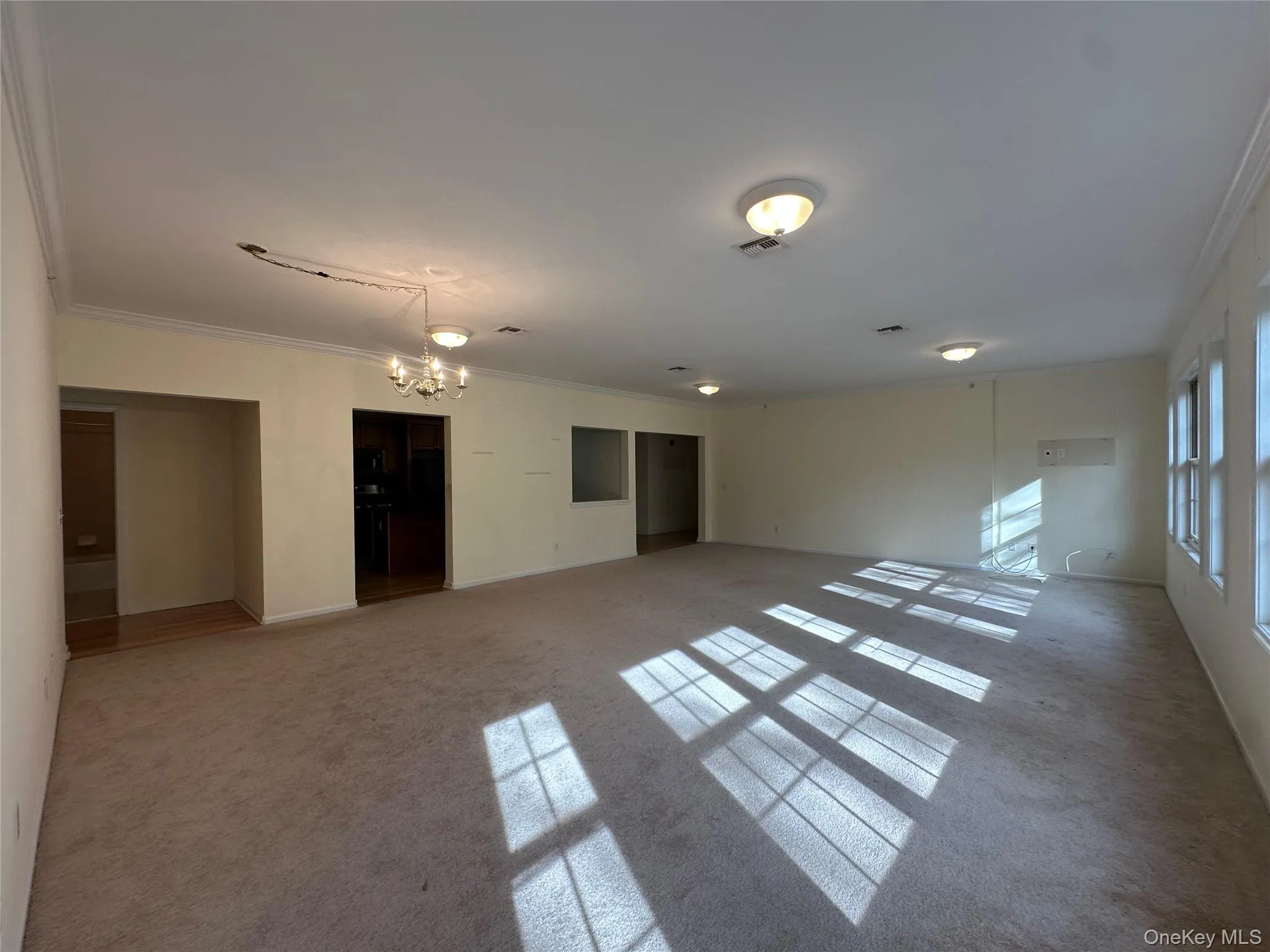 Carpeted spare room featuring ornamental molding and a chandelier Carpeted spare room featuring ornamental molding and a chandelier