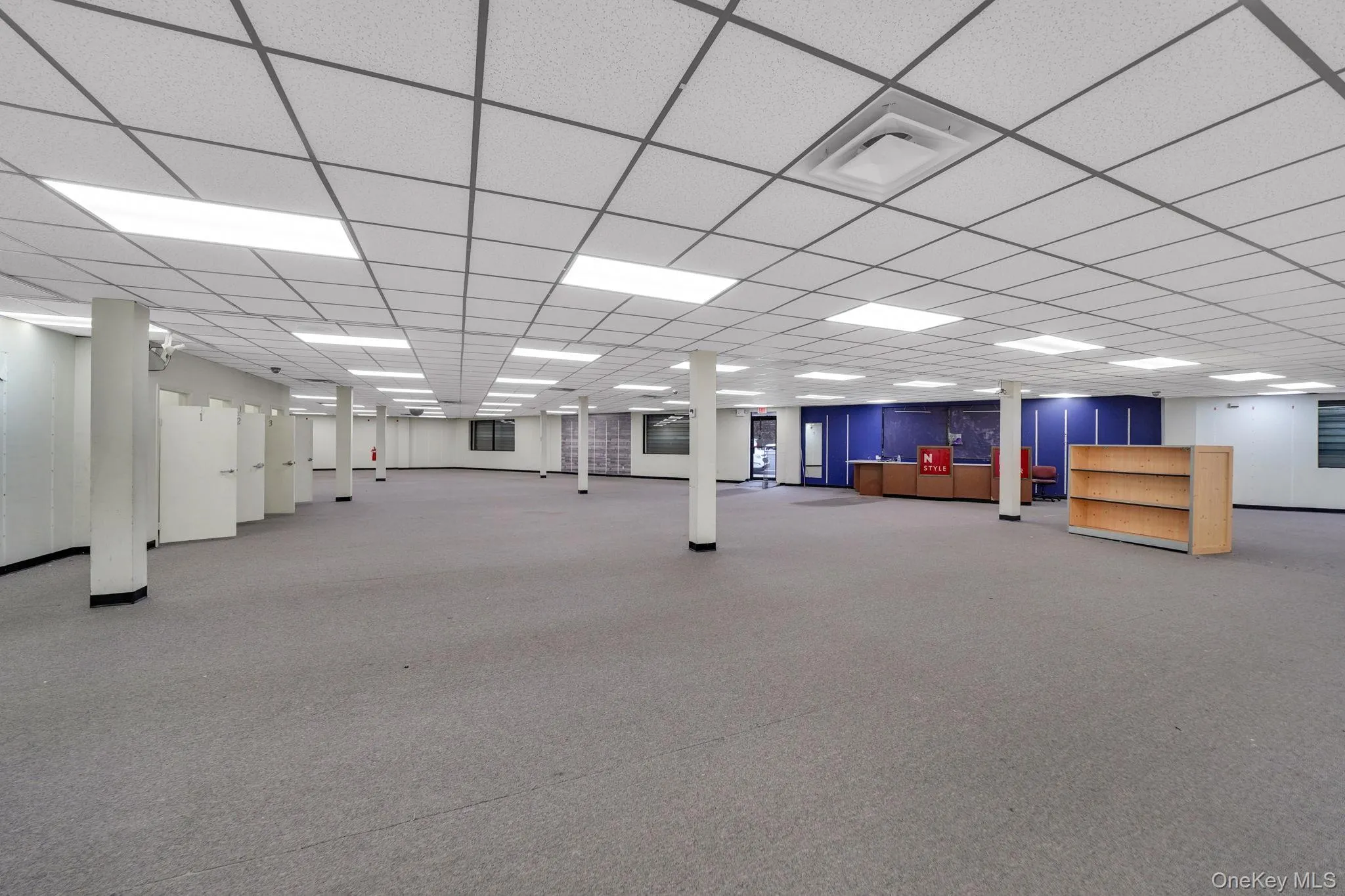 Finished basement with a drop ceiling and light colored carpet Finished basement with a drop ceiling and light colored carpet