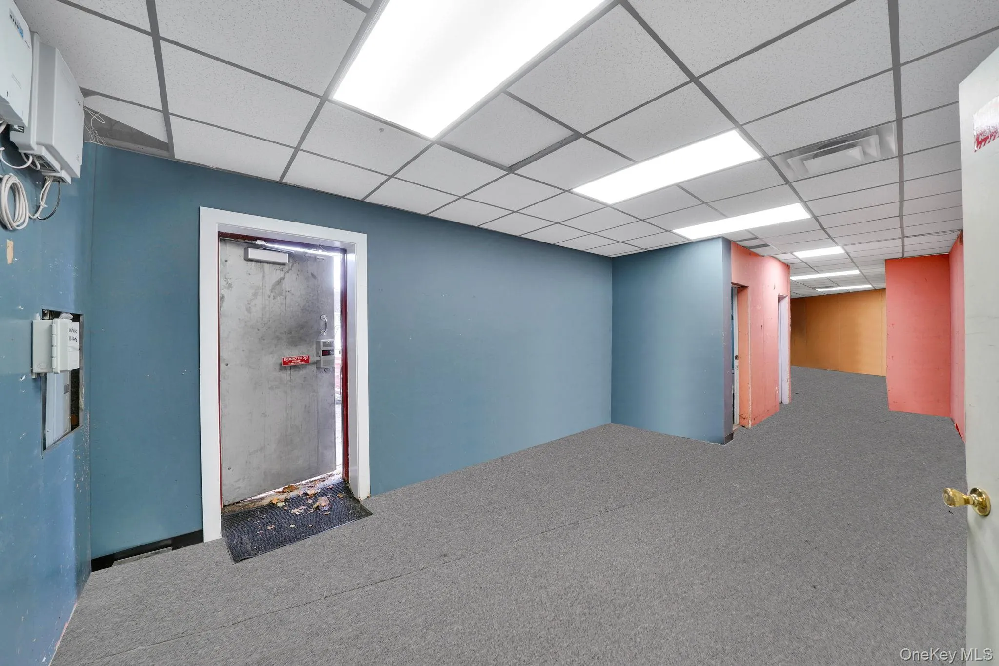 Basement featuring a drop ceiling and carpet Basement featuring a drop ceiling and carpet
