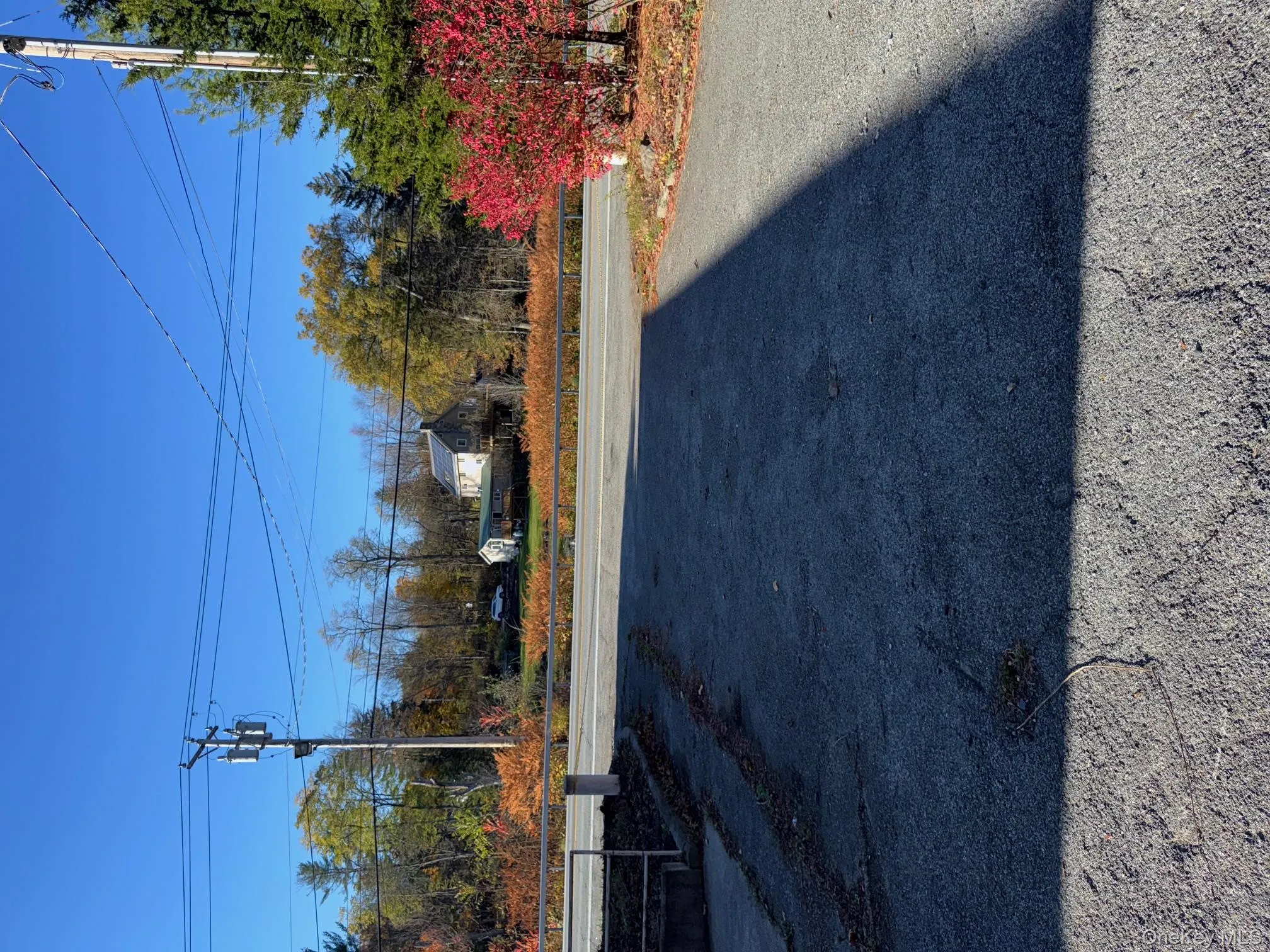 View of asphalt road with view of wooded area View of asphalt road with view of wooded area