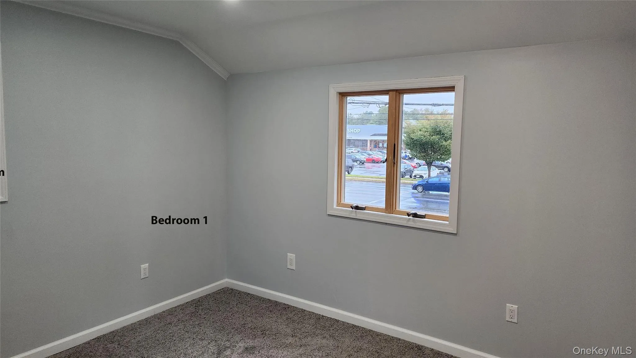 Carpeted empty room with ornamental molding and lofted ceiling Carpeted empty room with ornamental molding and lofted ceiling