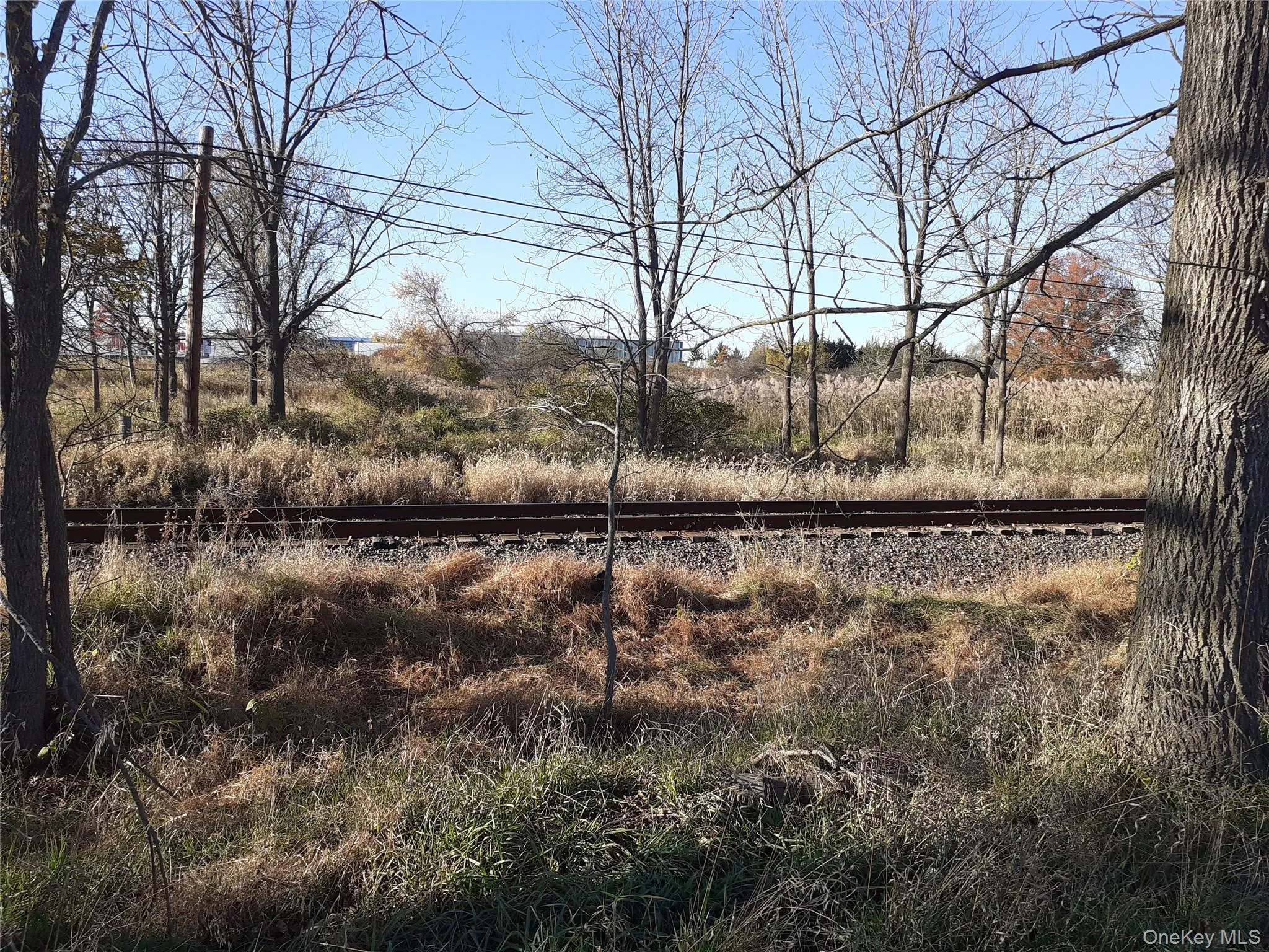 View of yard View of yard