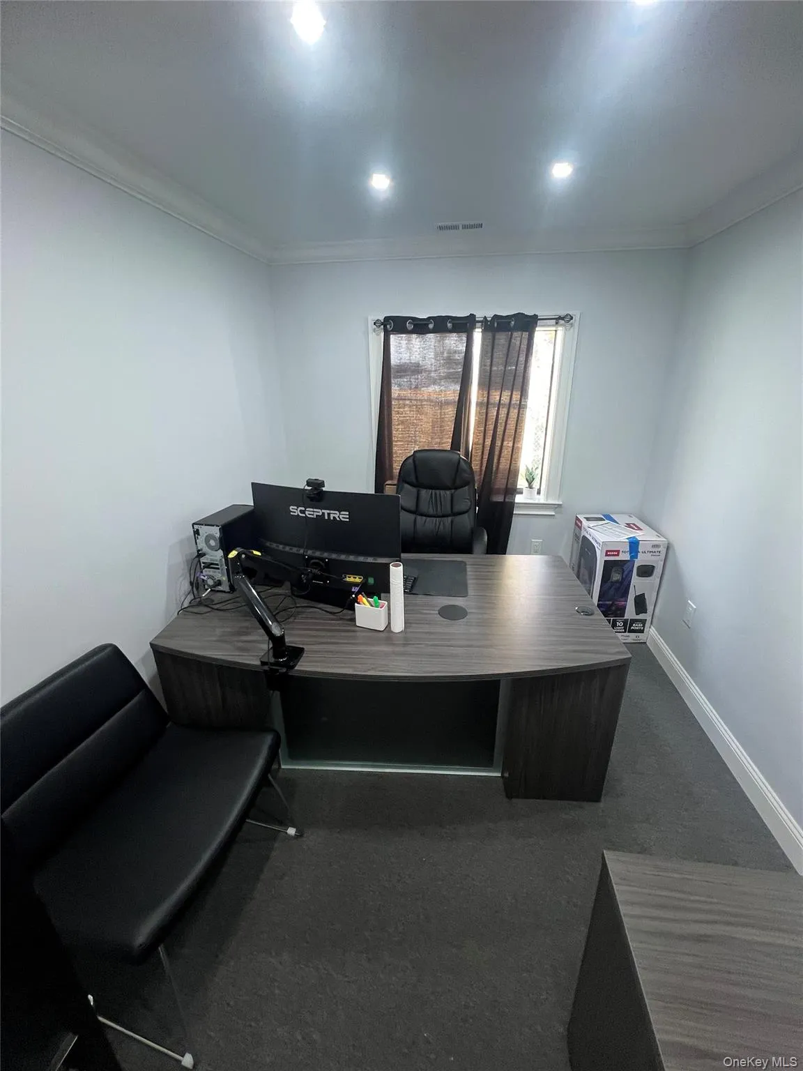 Carpeted home office with crown molding and baseboards Carpeted home office with crown molding and baseboards