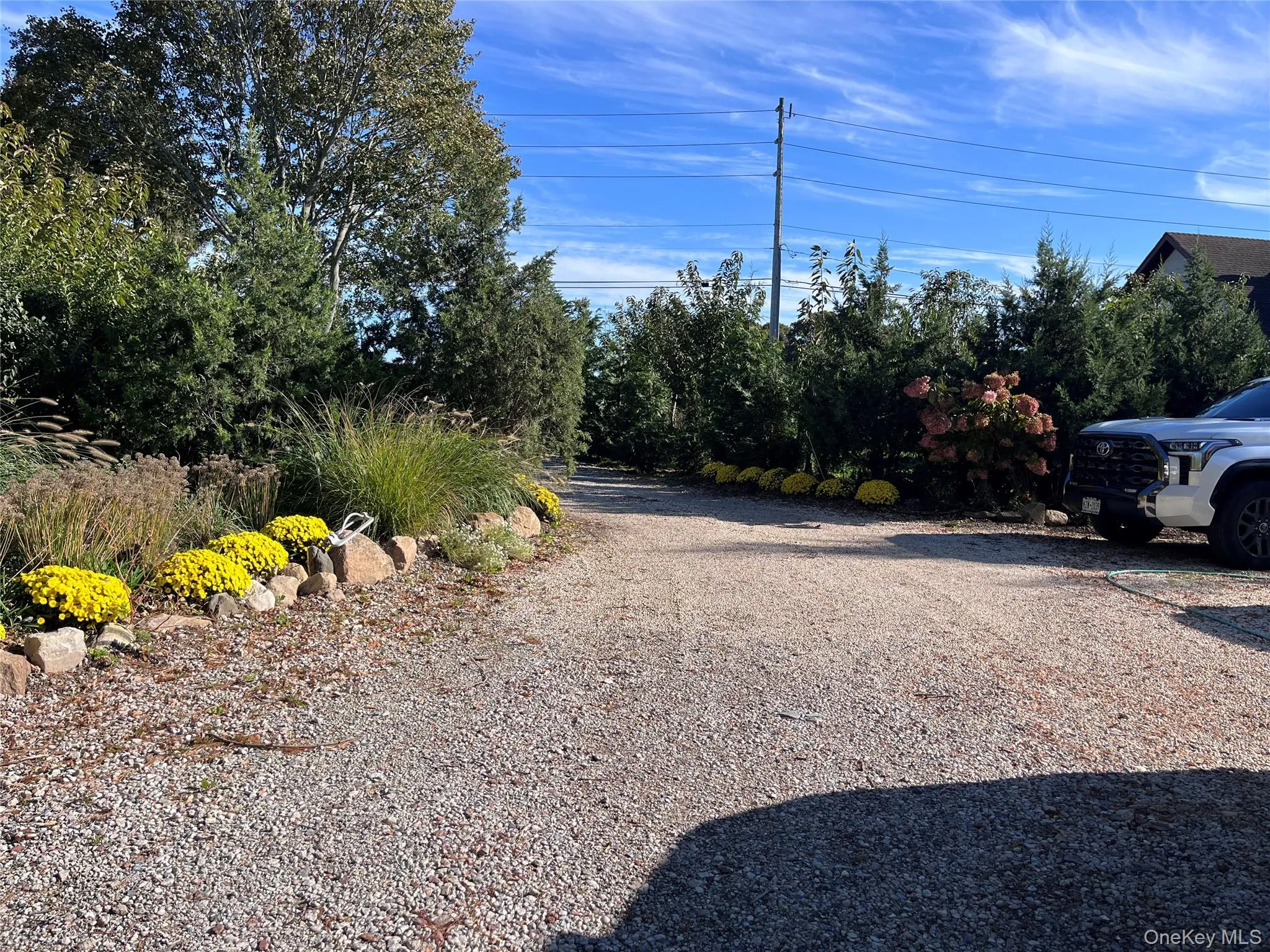 Meandering driveway to garage/outbuilding Meandering driveway to garage/outbuilding