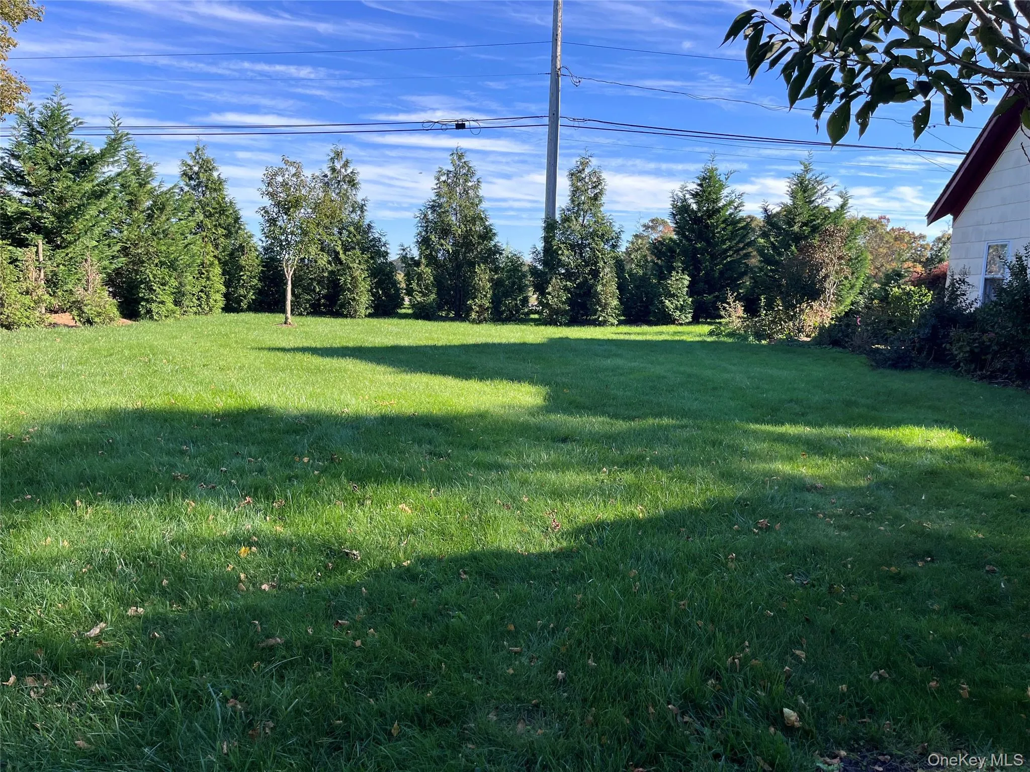 View of grassy yard facing County Rd. 48 View of grassy yard facing County Rd. 48