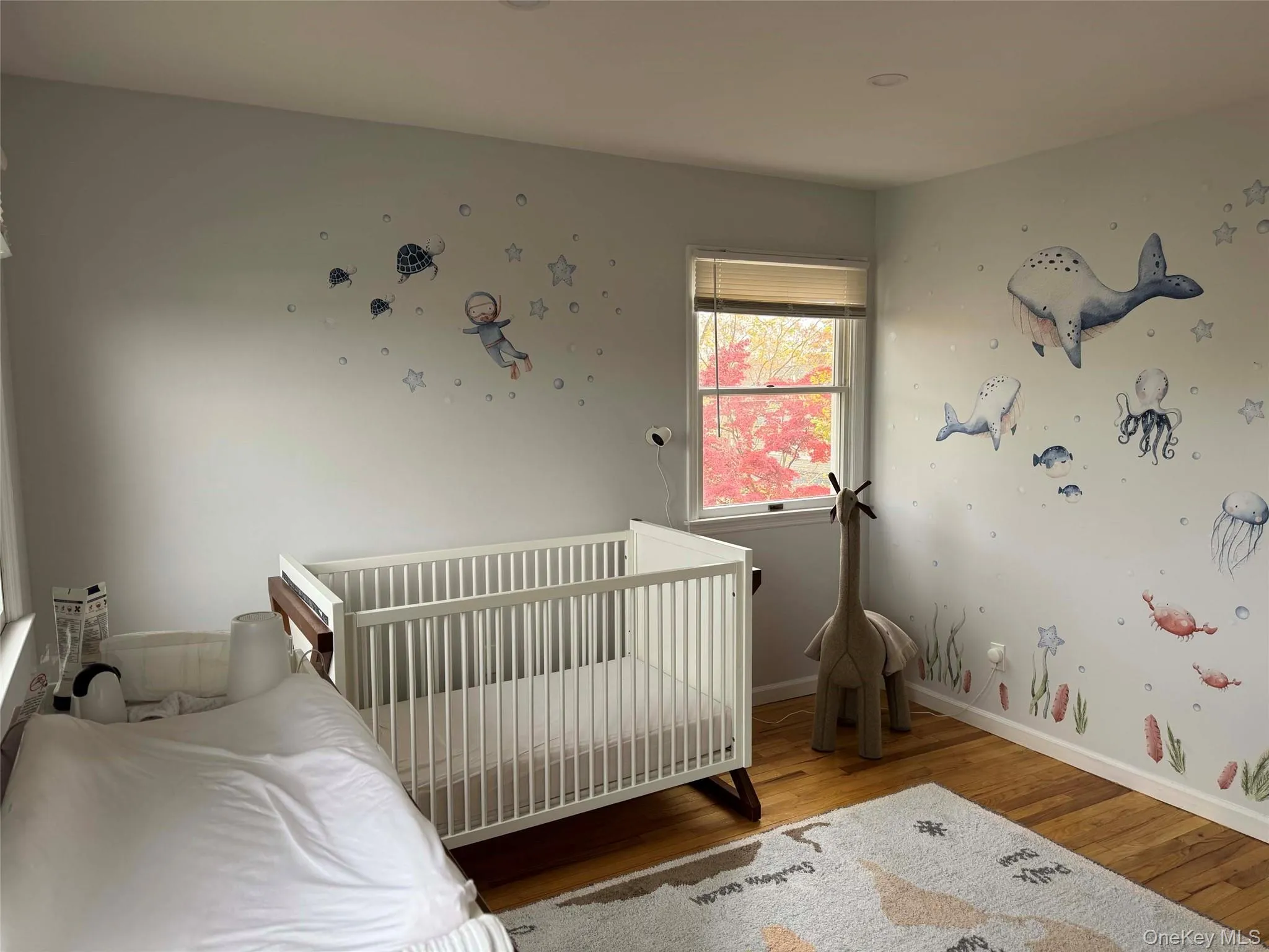 3rd Bedroom 3rd Bedroom