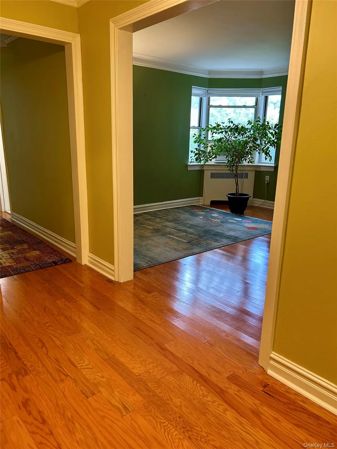Entrance to living room / flex room area. Entrance to living room / flex room area.