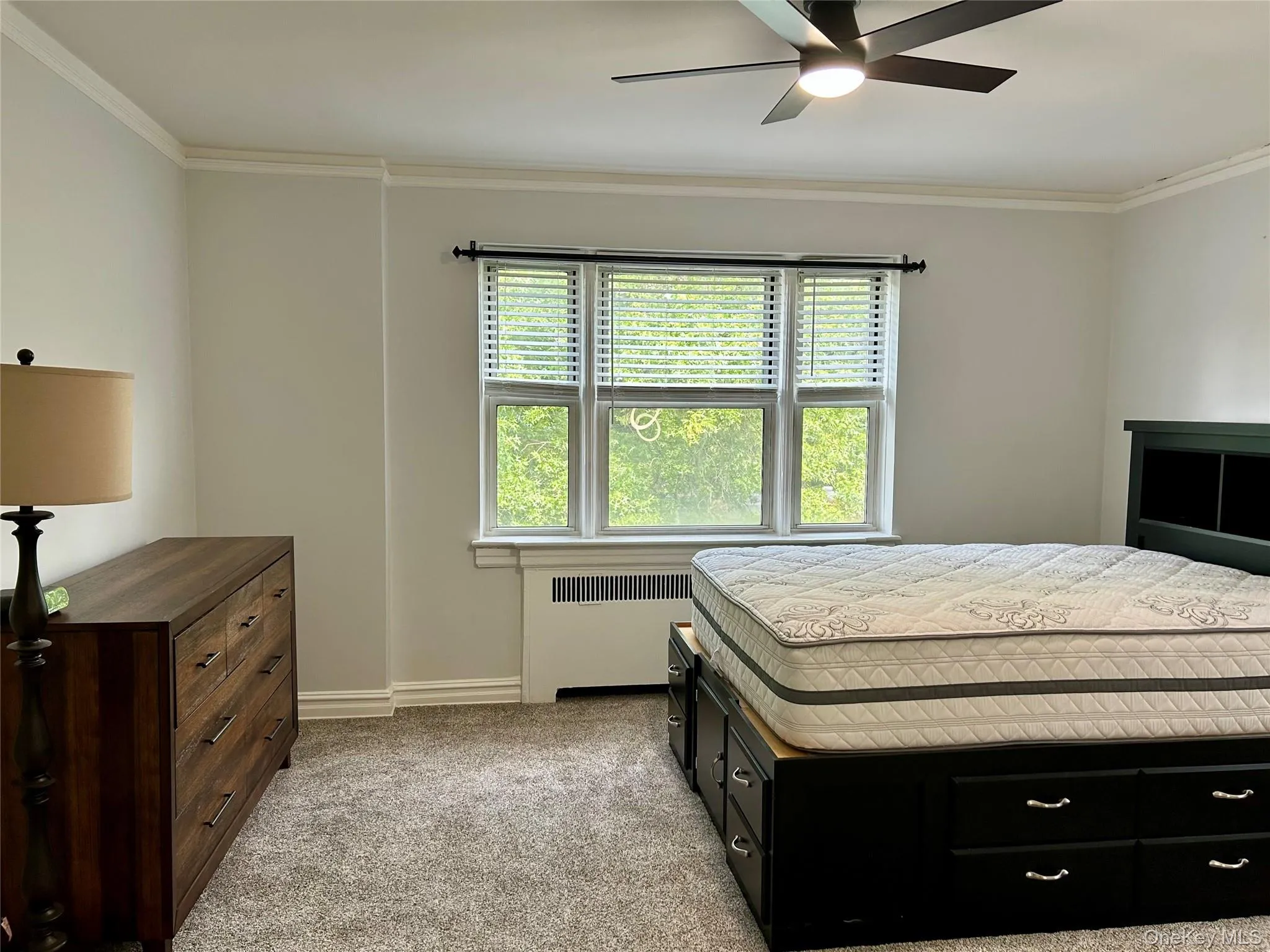 Furnished bedroom with radiator, light colored carpet, ornamental molding, and a ceiling fan Furnished bedroom with radiator, light colored carpet, ornamental molding, and a ceiling fan