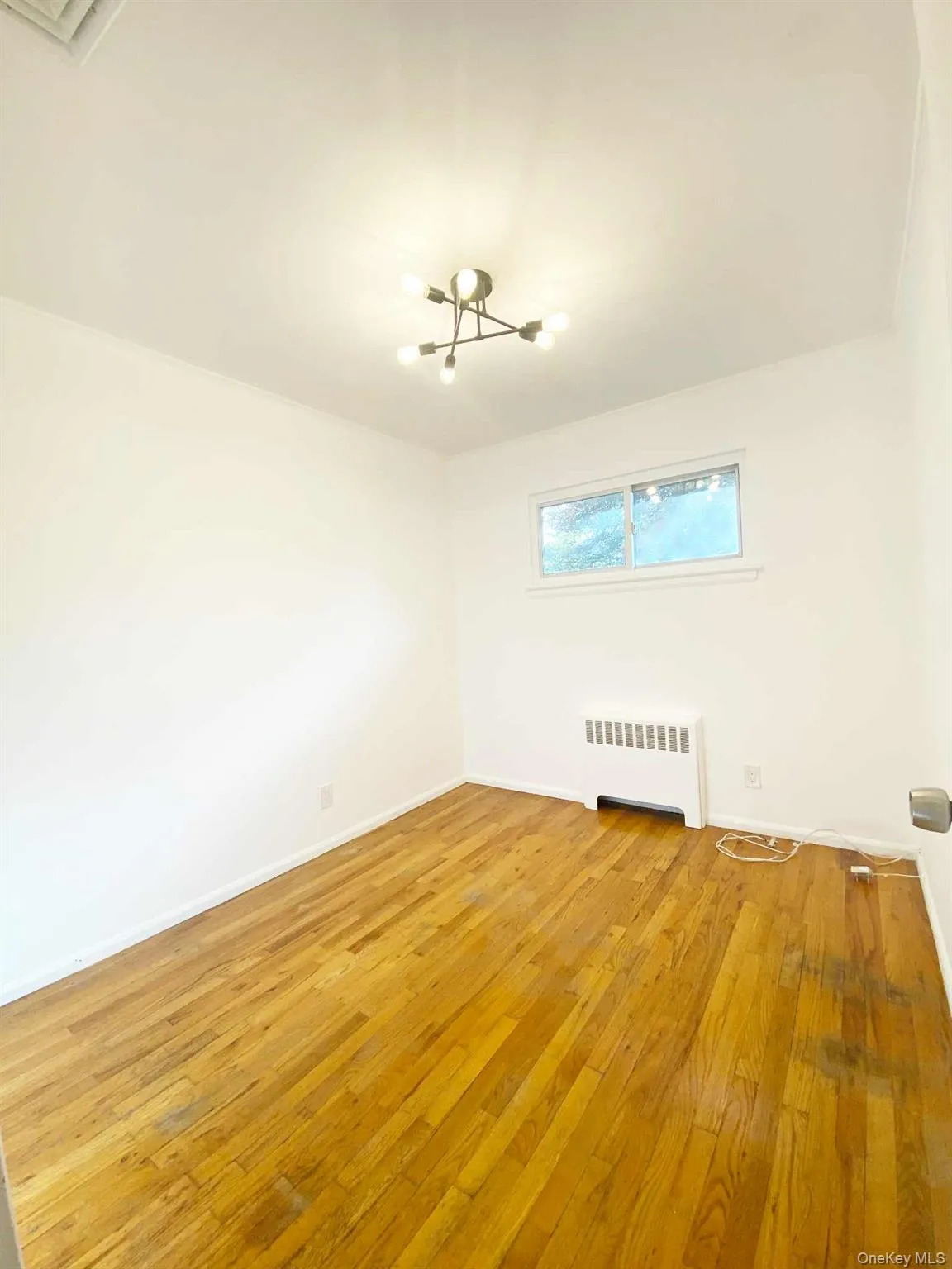 Unfurnished room with light wood-style floors and radiator Unfurnished room with light wood-style floors and radiator